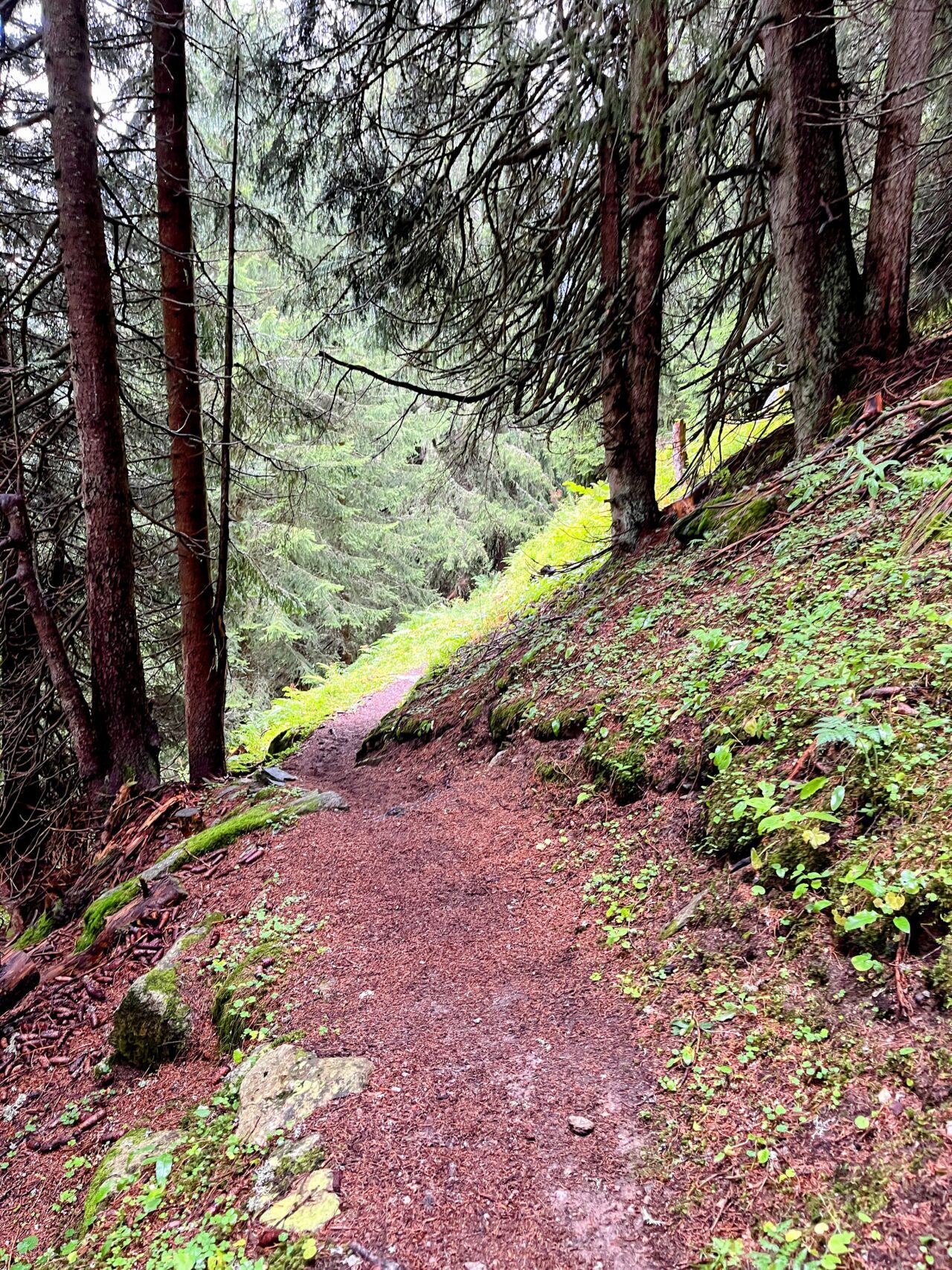 wanderung_klettersteig_punteglias_