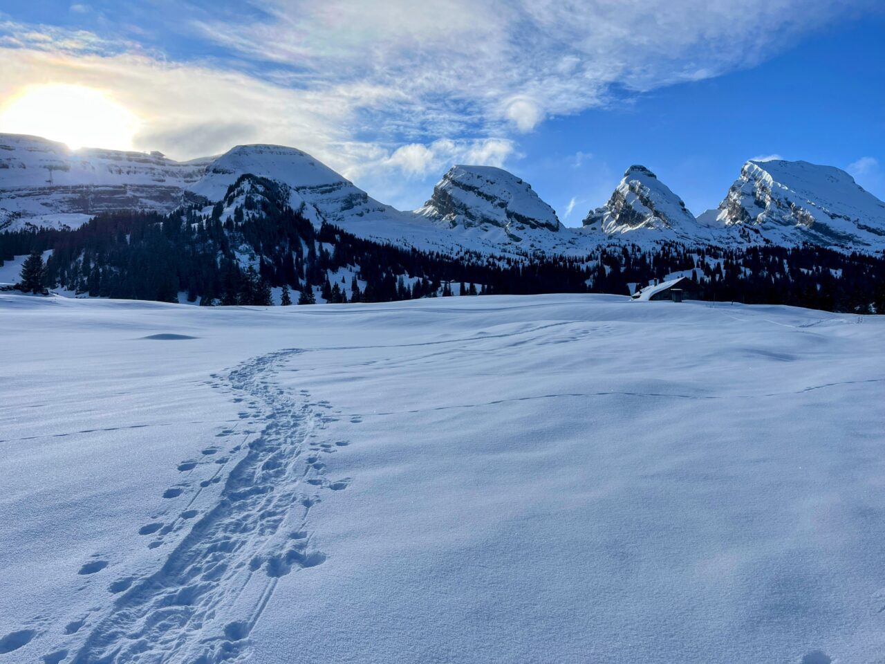 schneeschuhwandern_alp_sellamatt_fruemseltal__IMG_6690