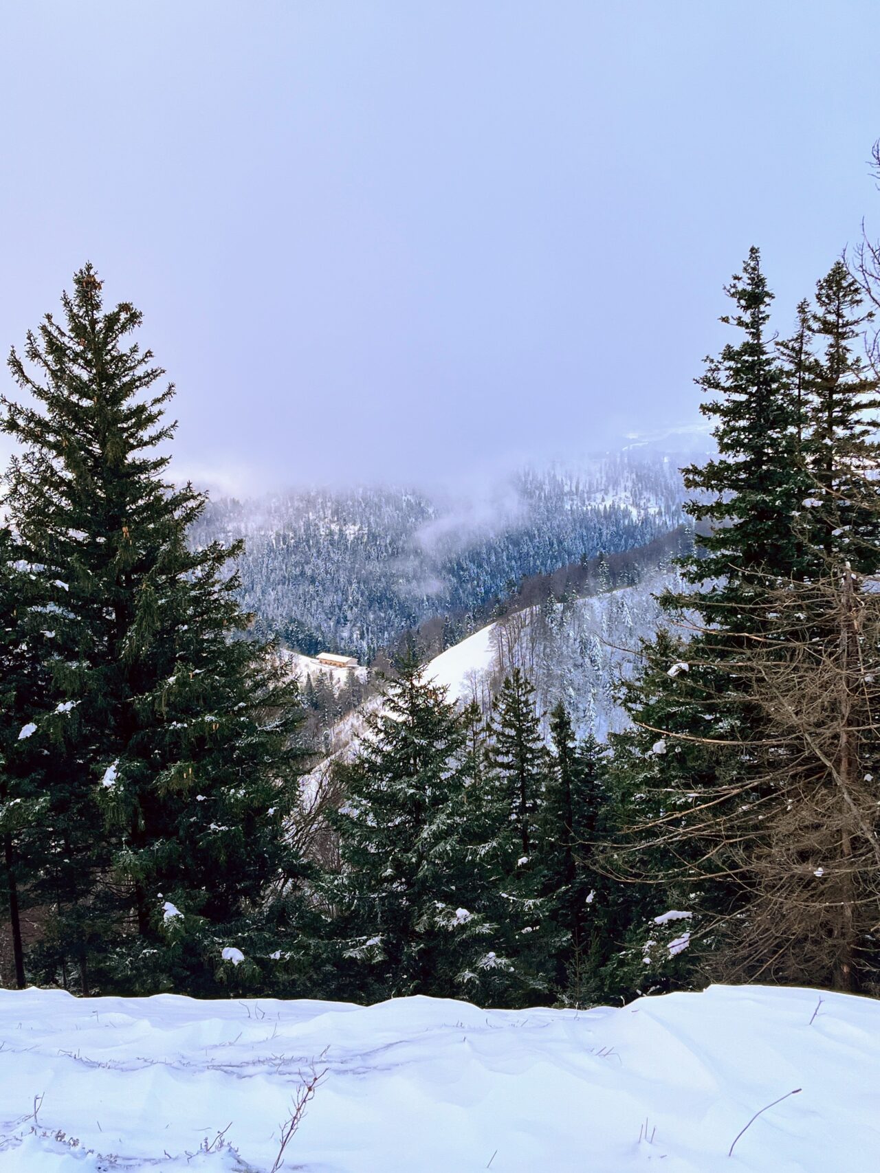 schneeschuhwanderung_schnebelhorn__IMG_2468