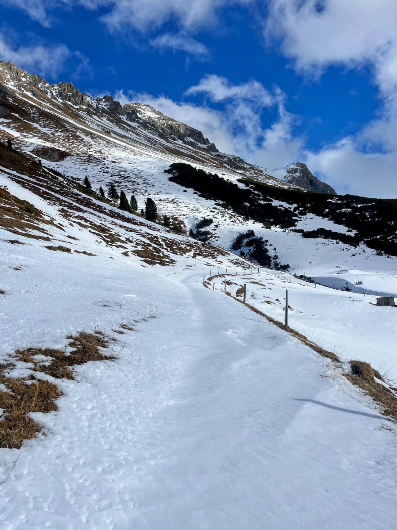 schneeschuhwanderung_preda_albulapass_punt_