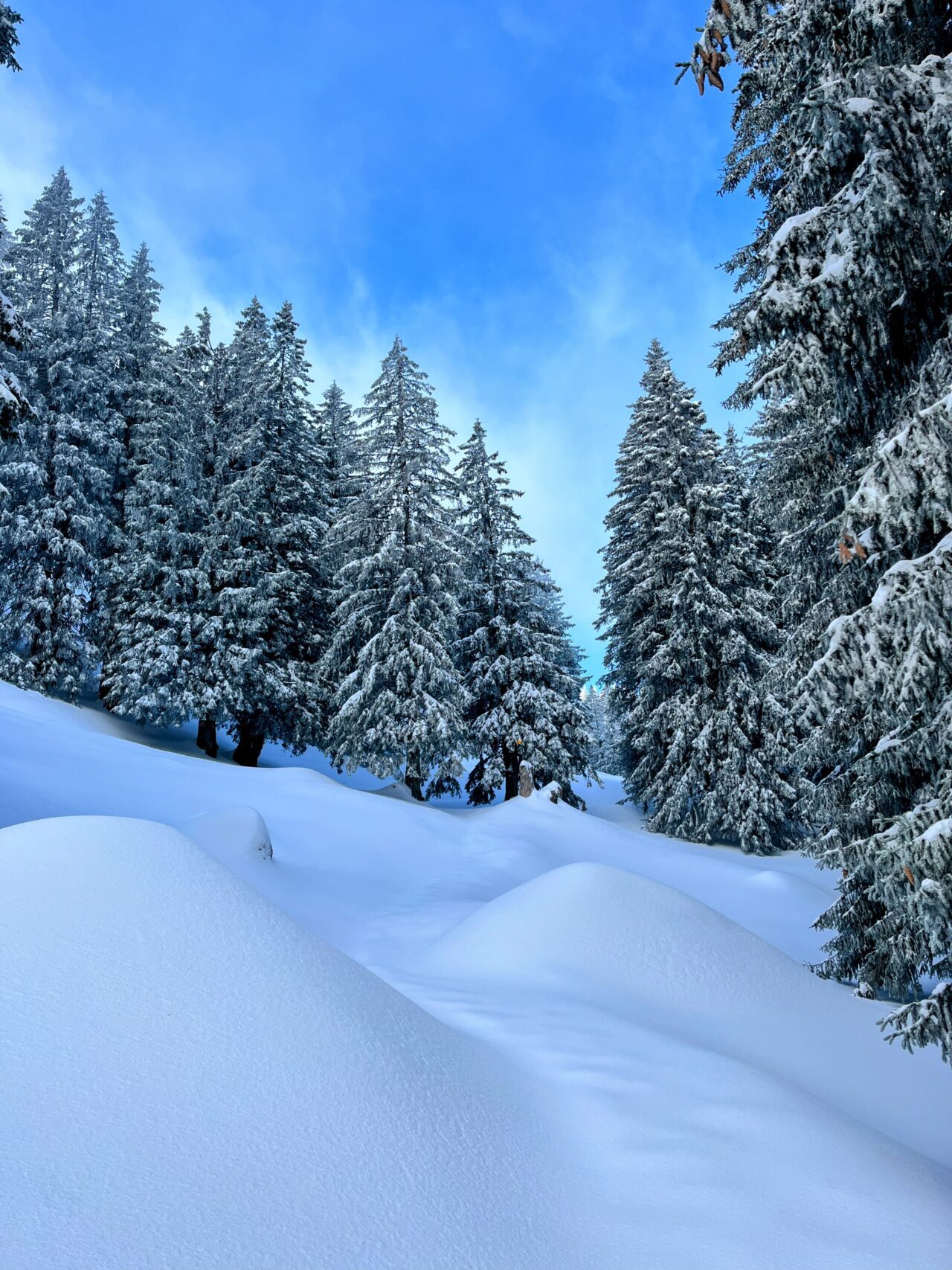 schneeschuhwanderung_wildspitz__IMG_2226