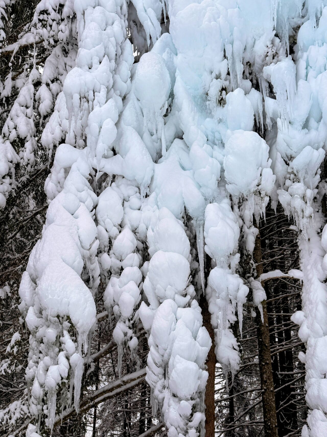schneeschuhwanderung_klosters_schlappin__IMG_8884