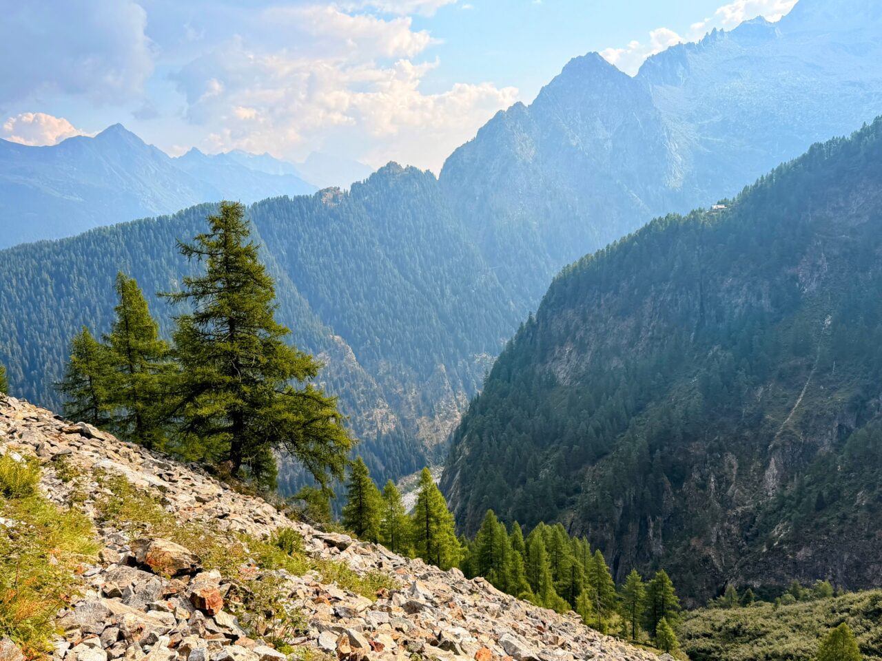 wanderung_sentiero_alpino_bregaglia_sasc_furae_huette_bondo__IMG_0566