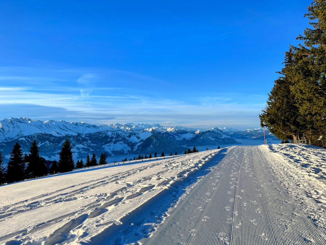 winterwandern_rigi_