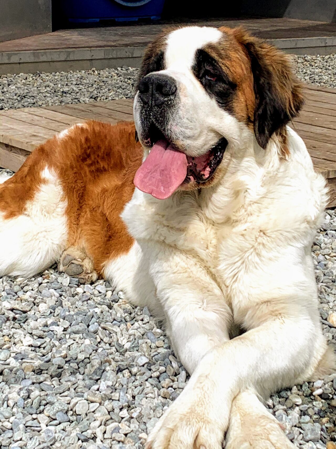 wanderung_tour_du_st_bernard_