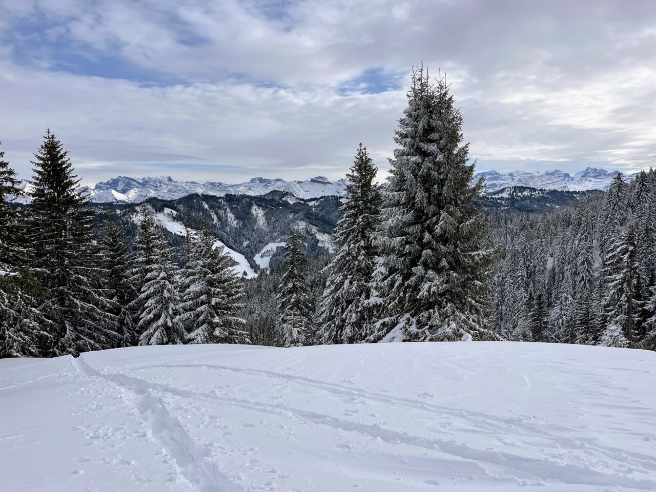 schneeschuhwanderung_rothenthurm-nüsselstock-brunni__IMG_5572