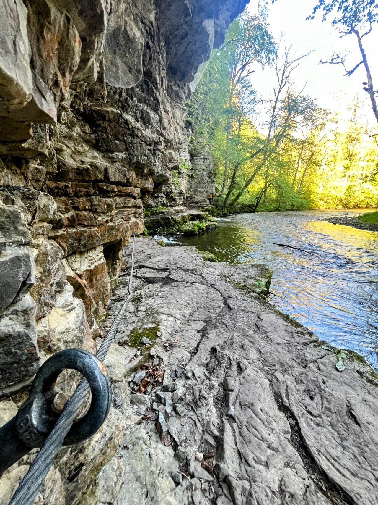 wanderung_schluchtensteig_schwarzwald_