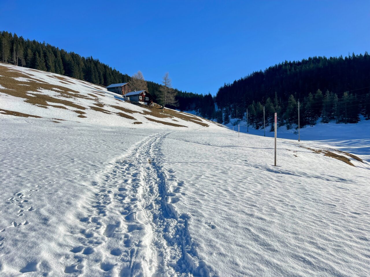 Schneeschuhe_winterwandern_eggberge_hueenderegg_ratzi__IMG_5639