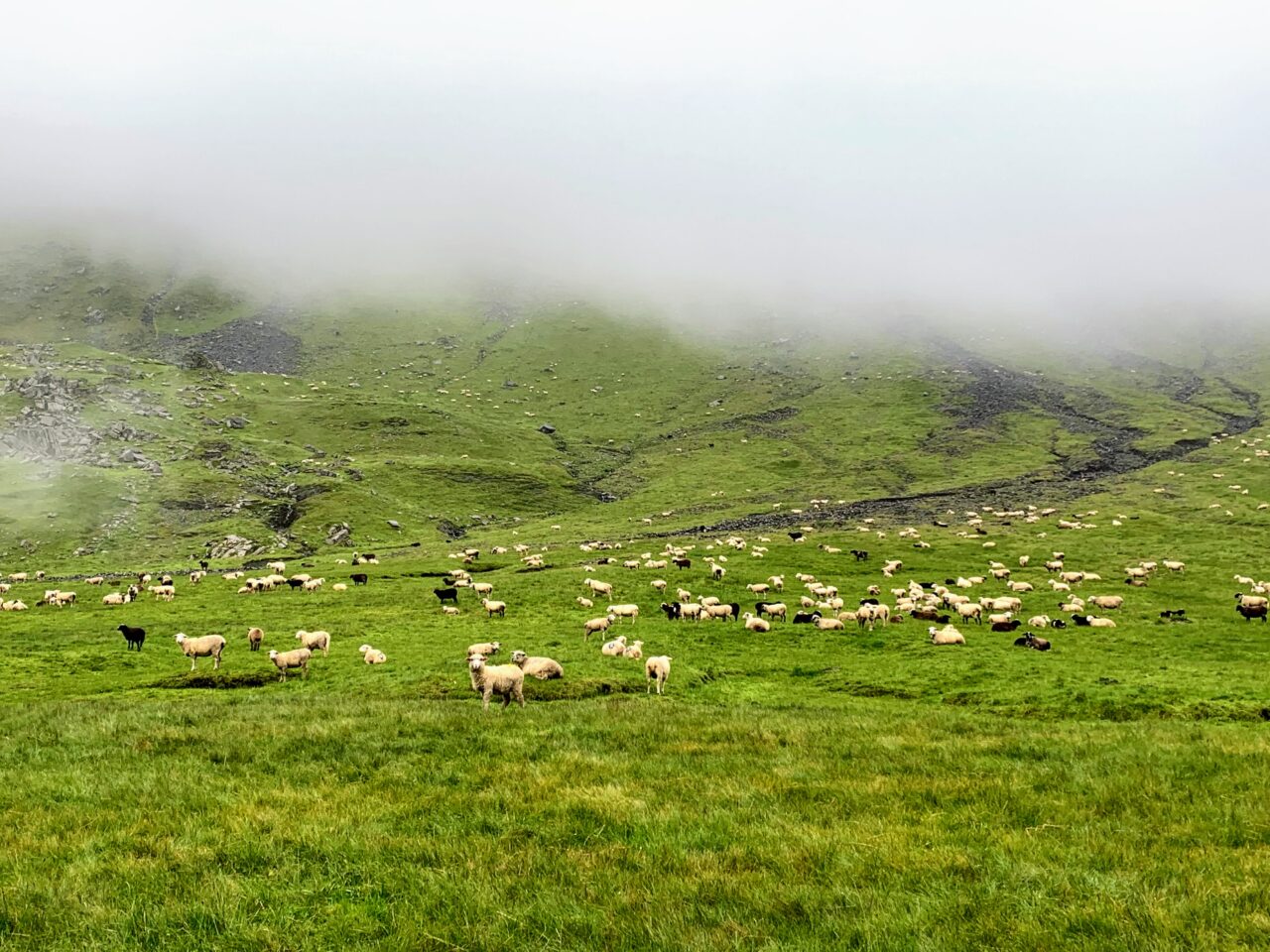 wanderung_glattalphuette