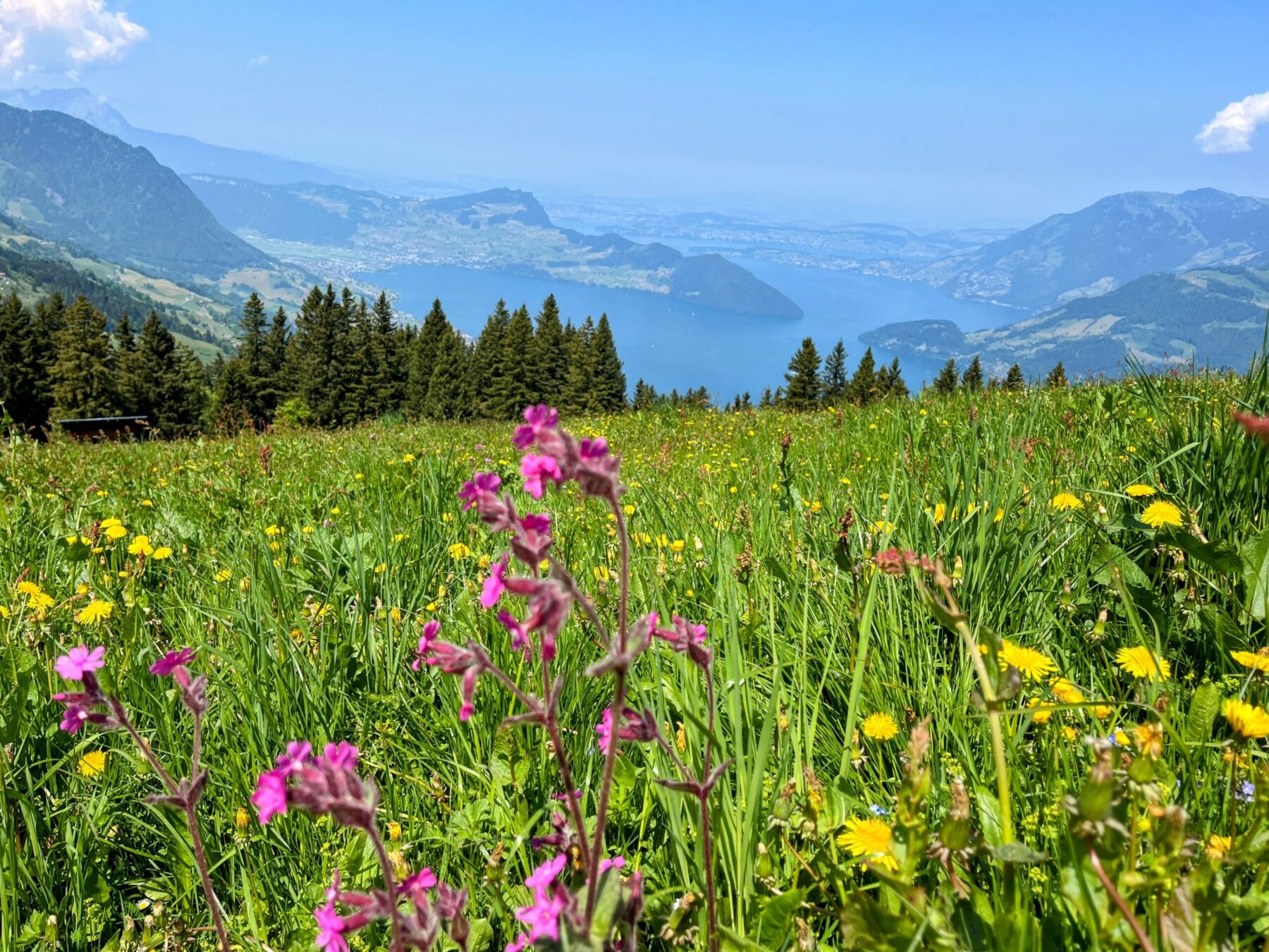 wanderung_niederbauen_chulm_