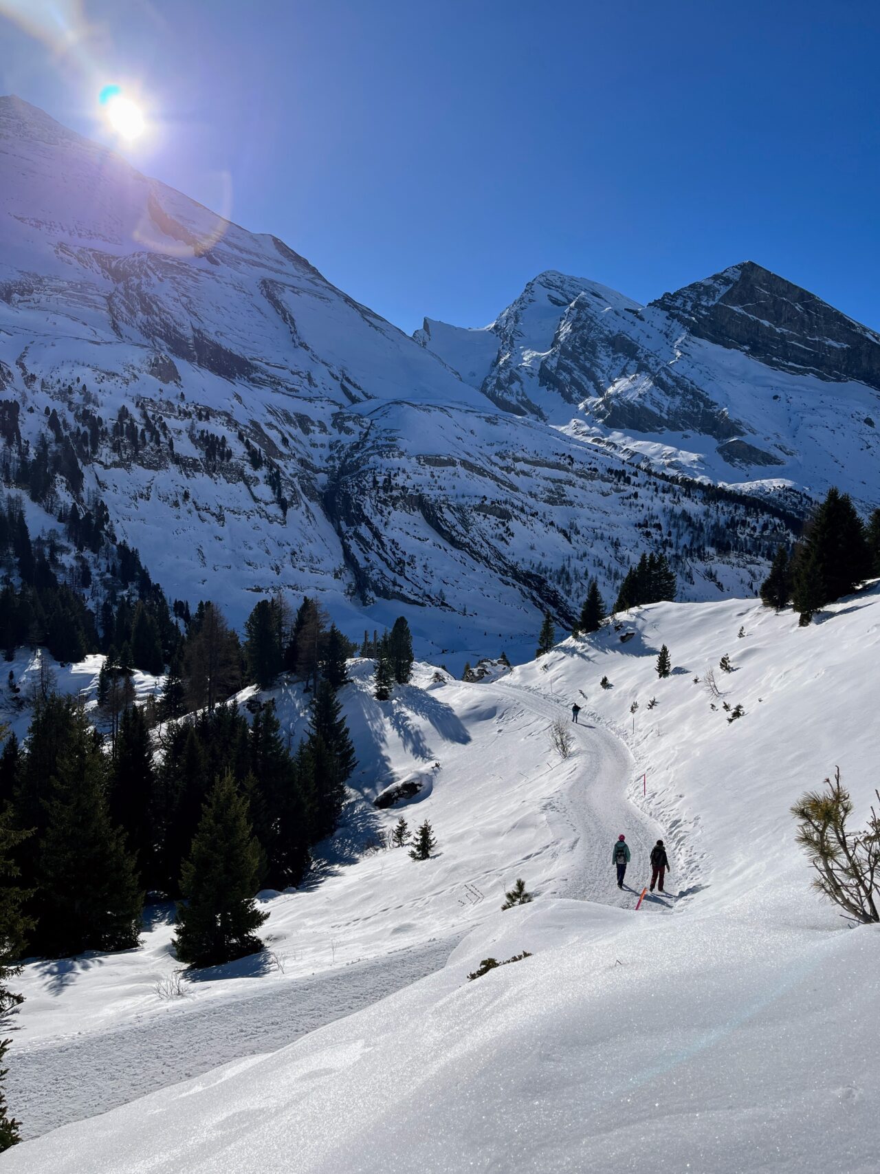 schneeschuhtour_wildstrubel_lämmerenhütte__IMG_9921
