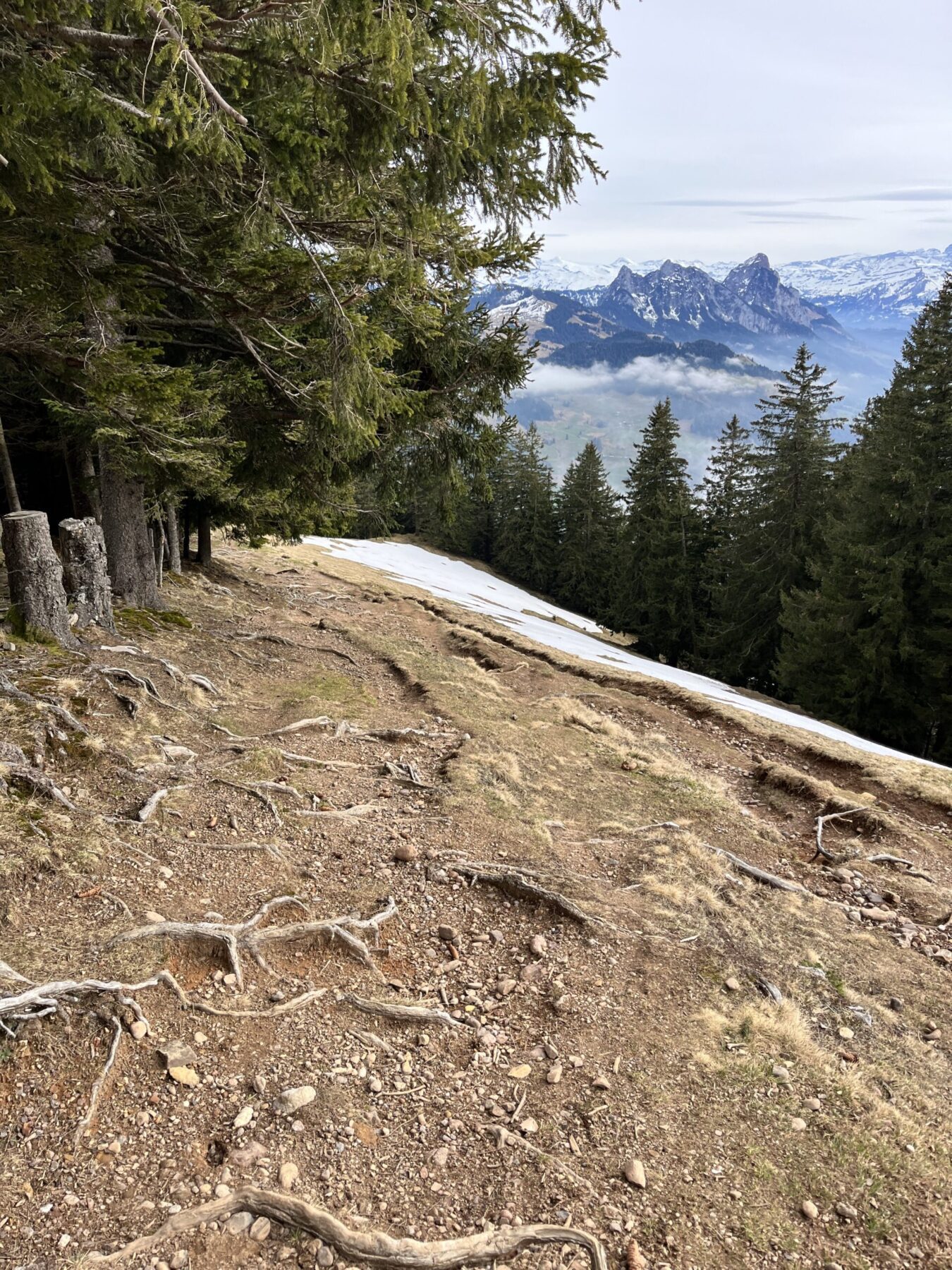 wanderung_gnipen_wildspitz_