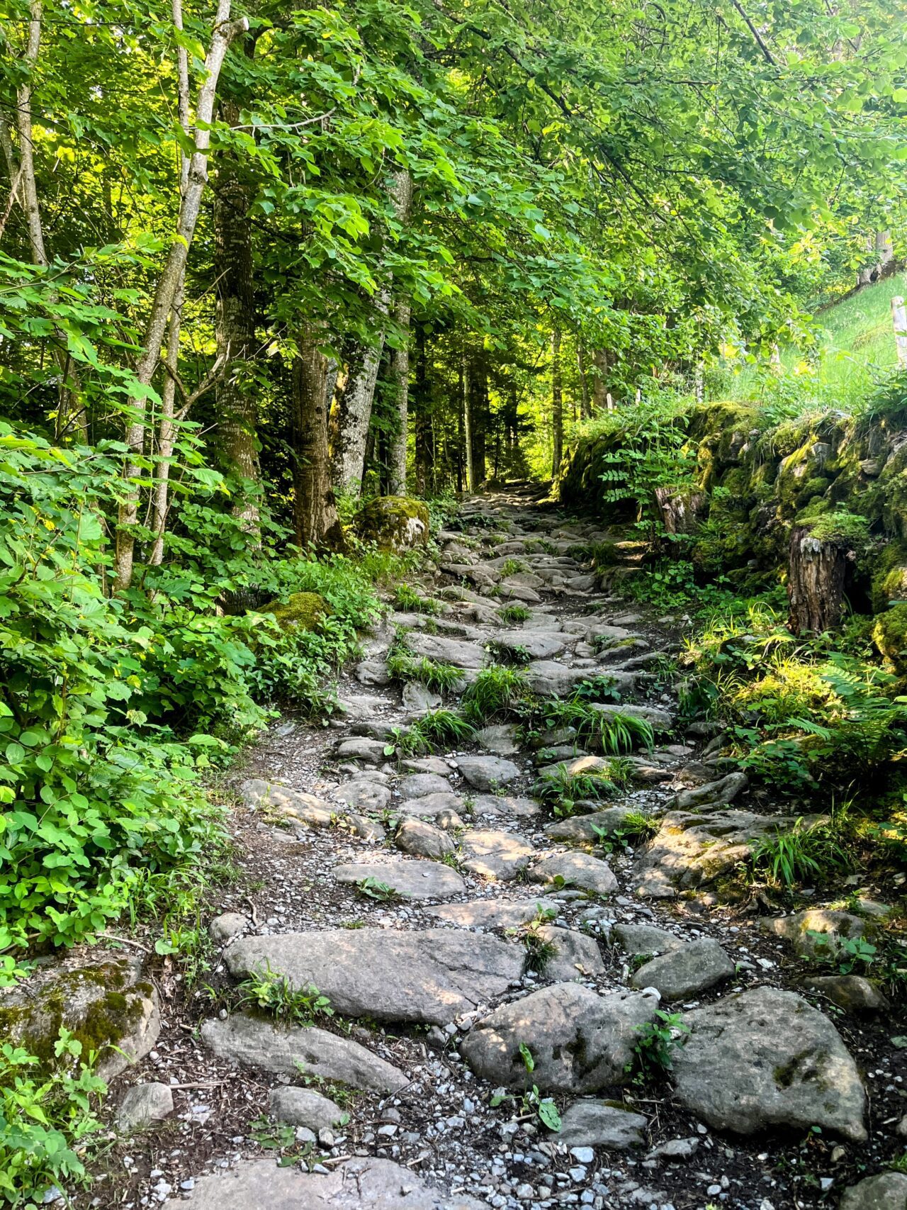 wanderung_via_alpina_meiringen_grindelwald_