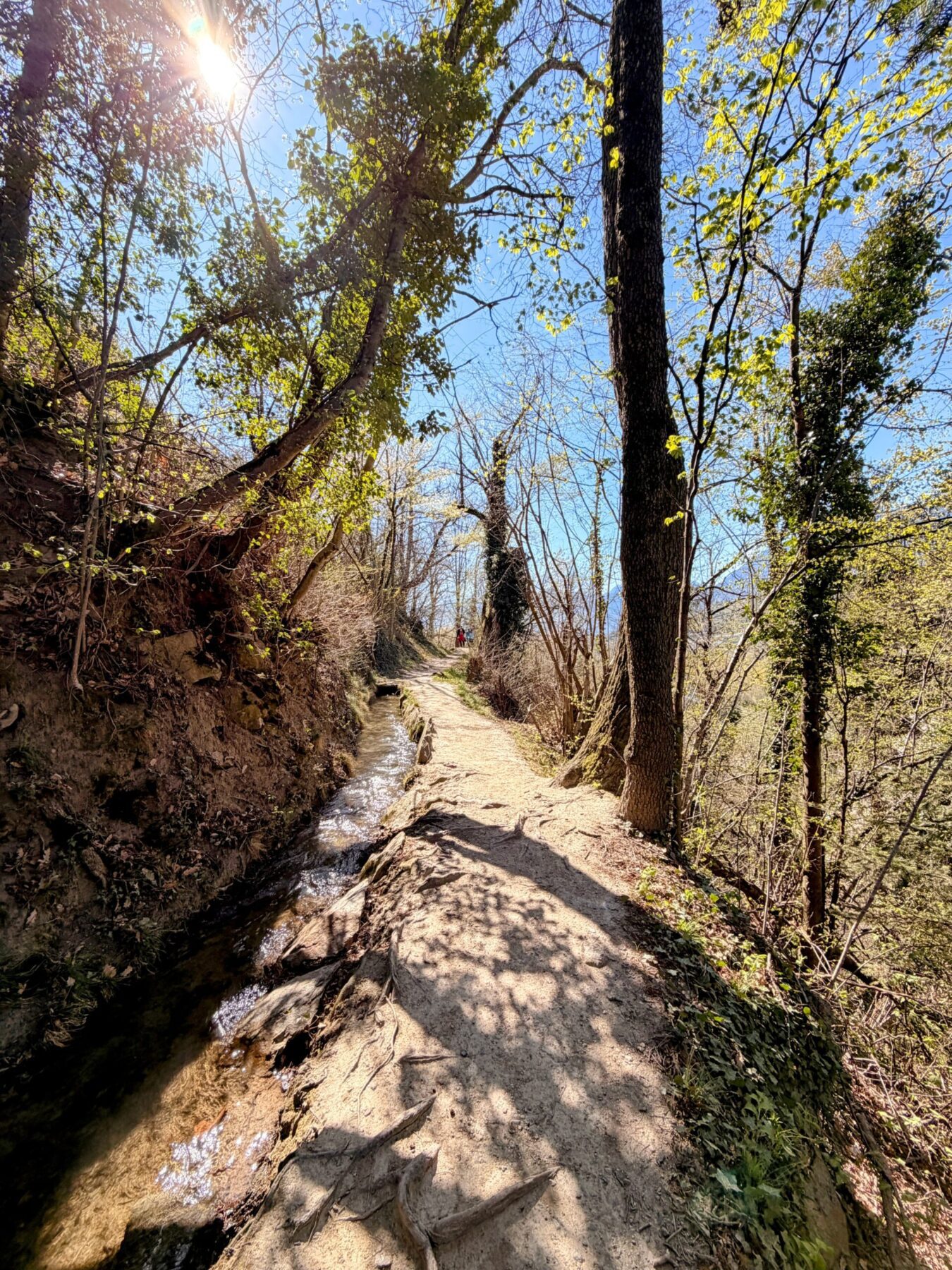 wanderung_maiser_waalweg_tappeinerweg_dorf_tirol_