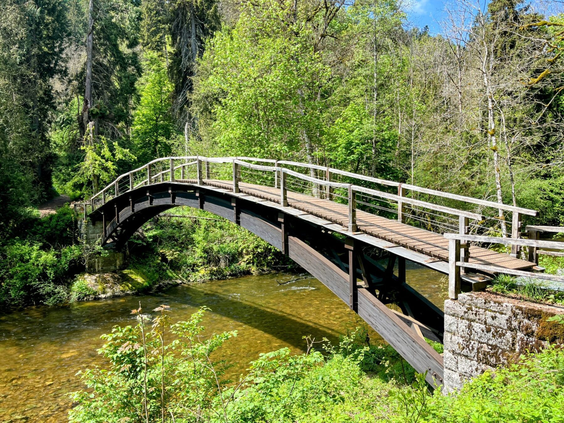 wanderung_schluchtensteig_schwarzwald_