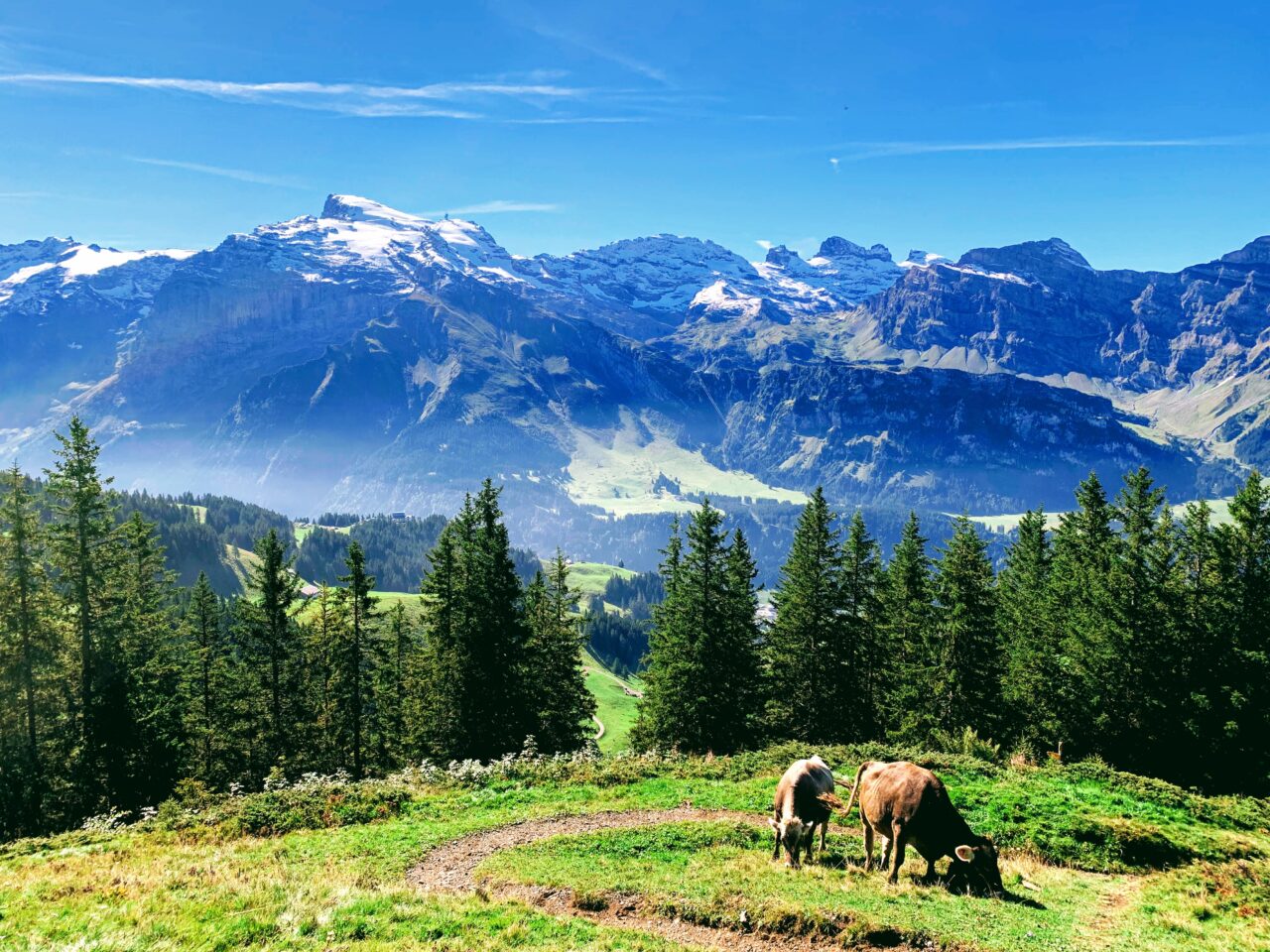 wanderung_brunnihuette_
