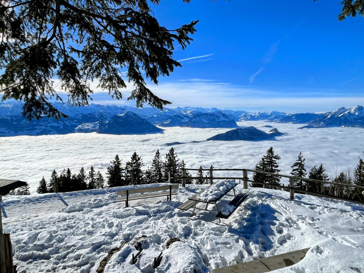 winterwandern_rigi_