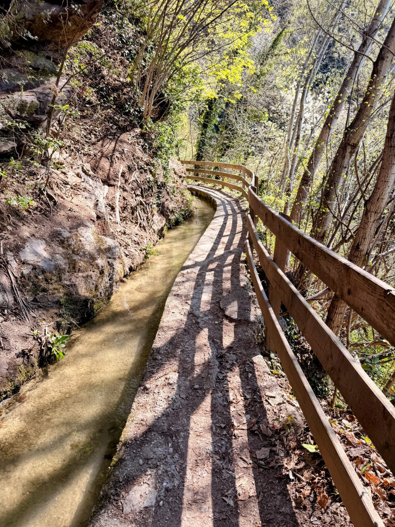 wanderung_maiser_waalweg_tappeinerweg_dorf_tirol_