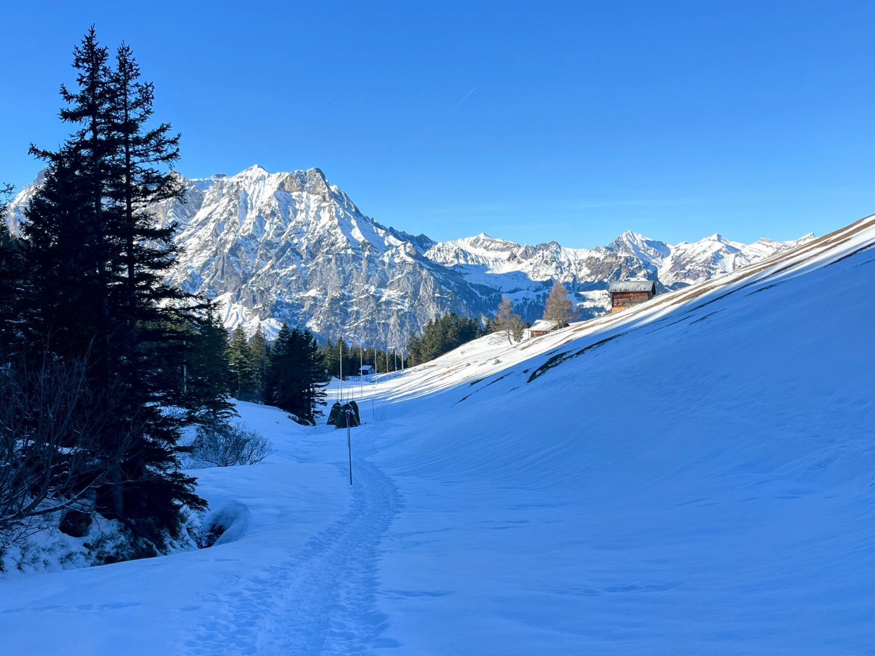 Schneeschuhe_winterwandern_eggberge_hueenderegg_ratzi__IMG_5643