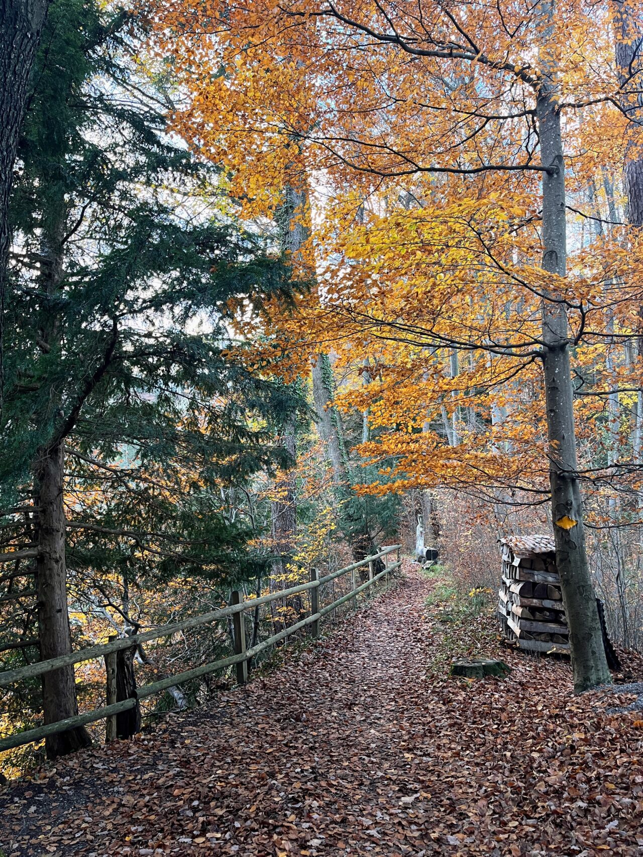wanderung_teehuette_fallaetsche_