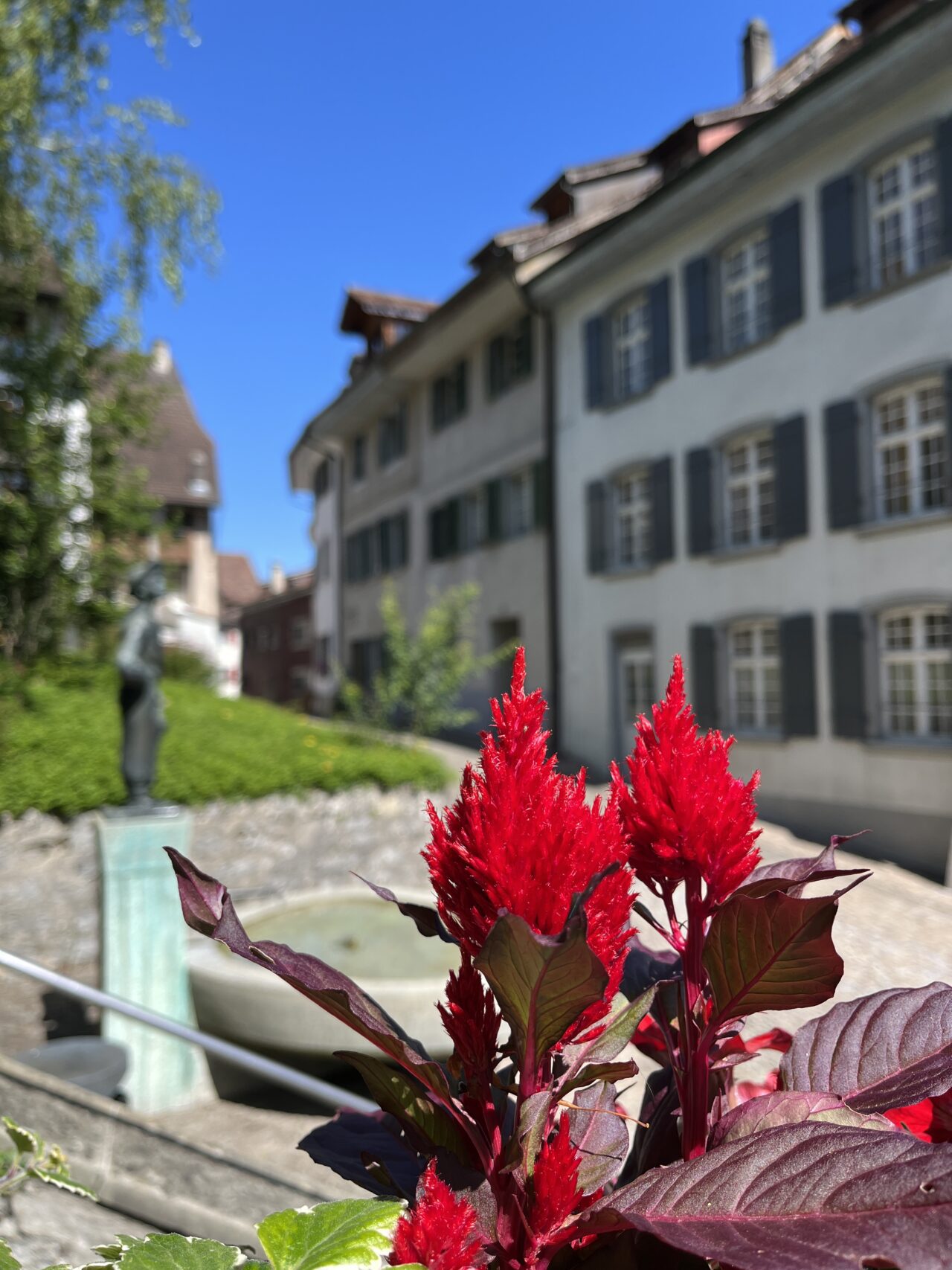 velotour_eglisau_laufenburg__IMG_5183