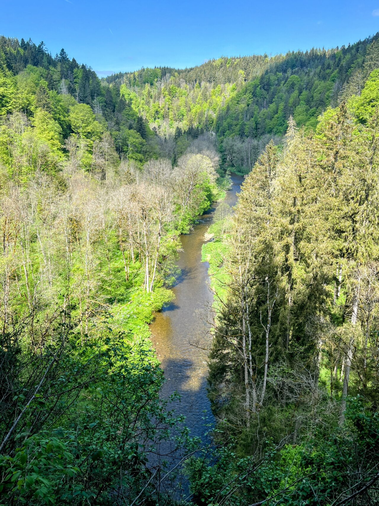 wanderung_schluchtensteig_schwarzwald_