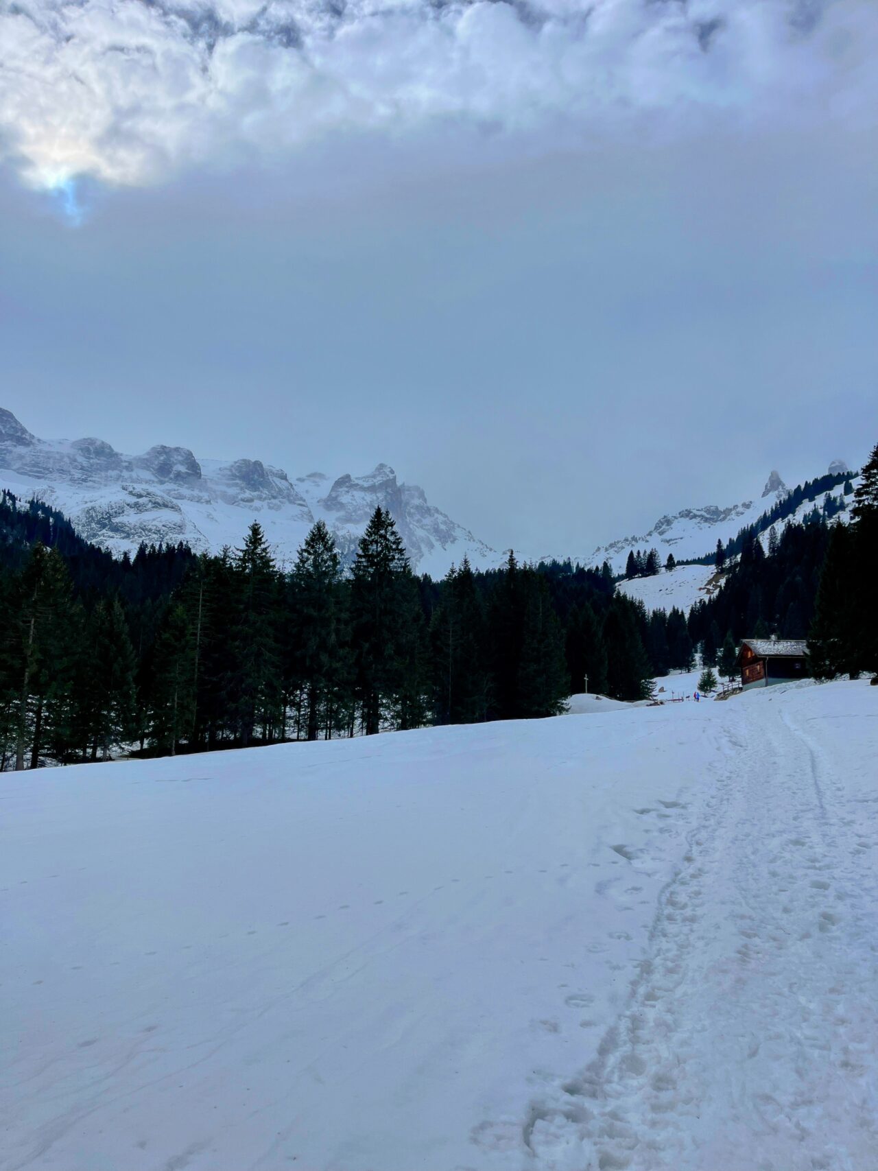winterwanderung_und_schlitteln_lindauer_huette__IMG_4448