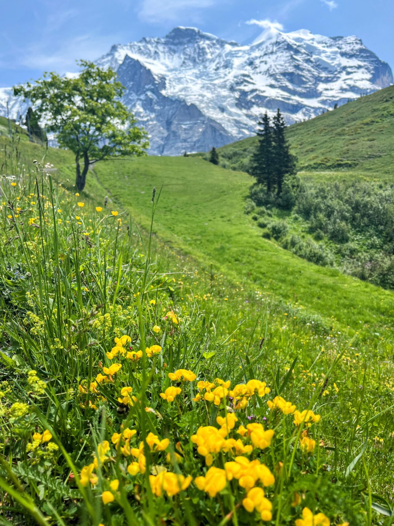 wanderung_via_alpina_grindelwald_lauterbrunnen_
