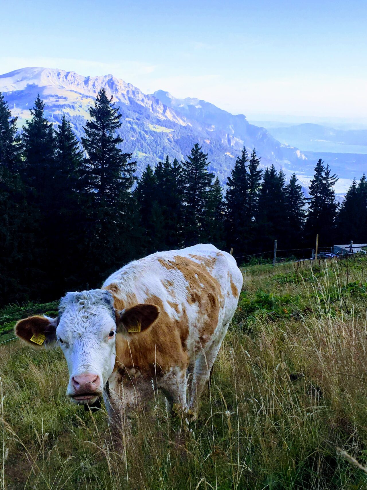 tour_du_dents_du_midi