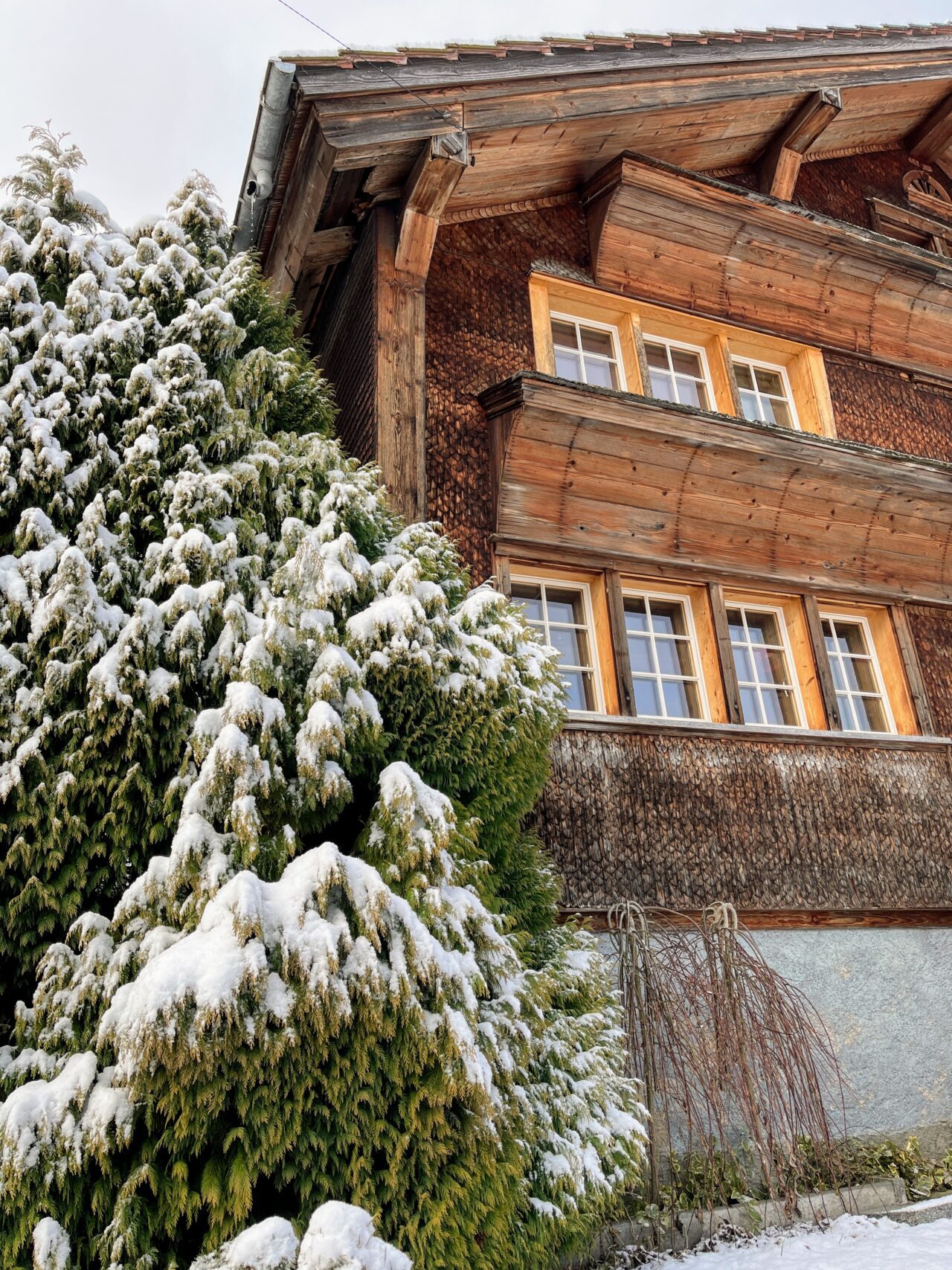 schneeschuhwandern_tanzboden__IMG_1845