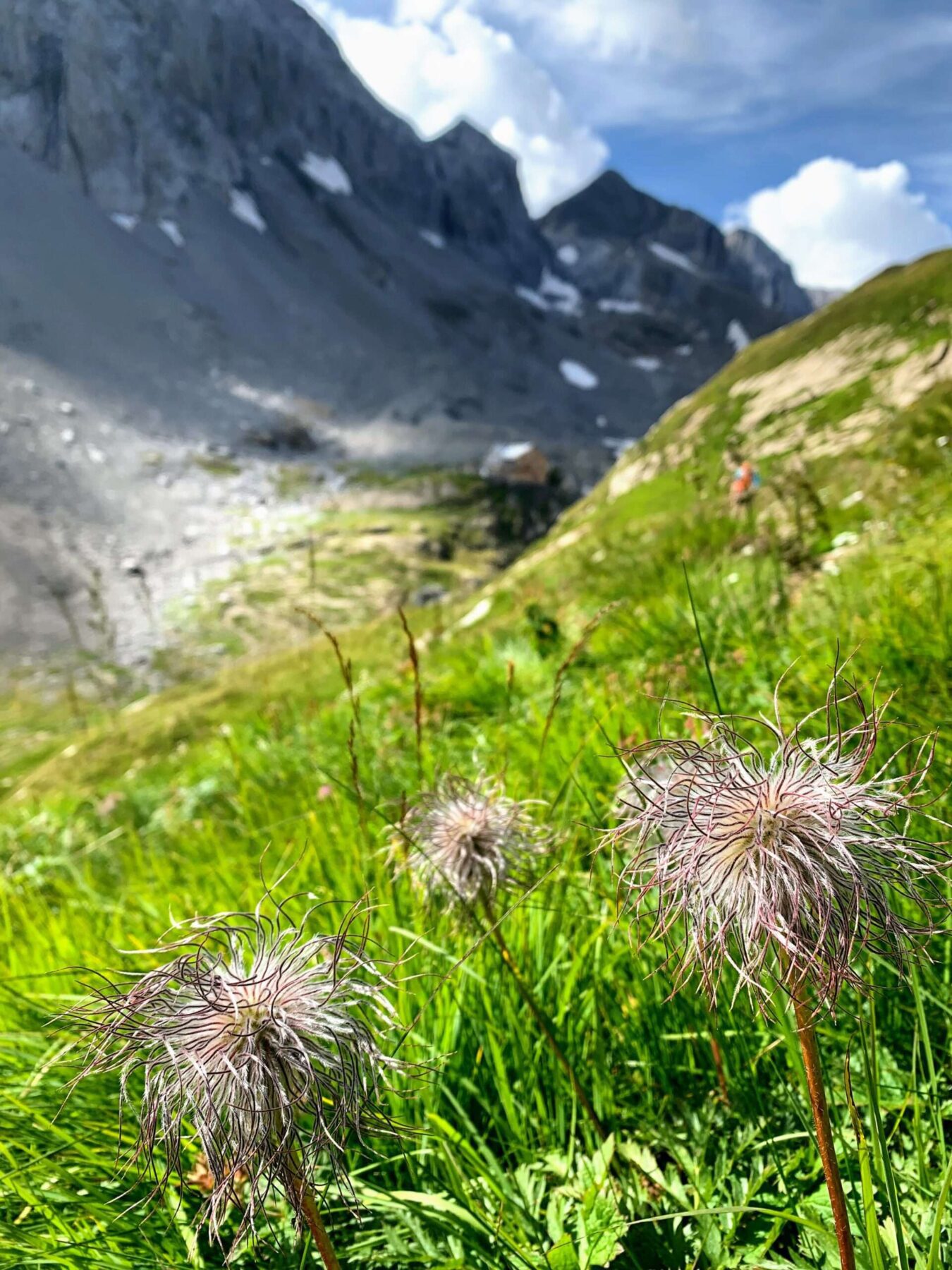 wanderung_tour_du_wildhorn_
