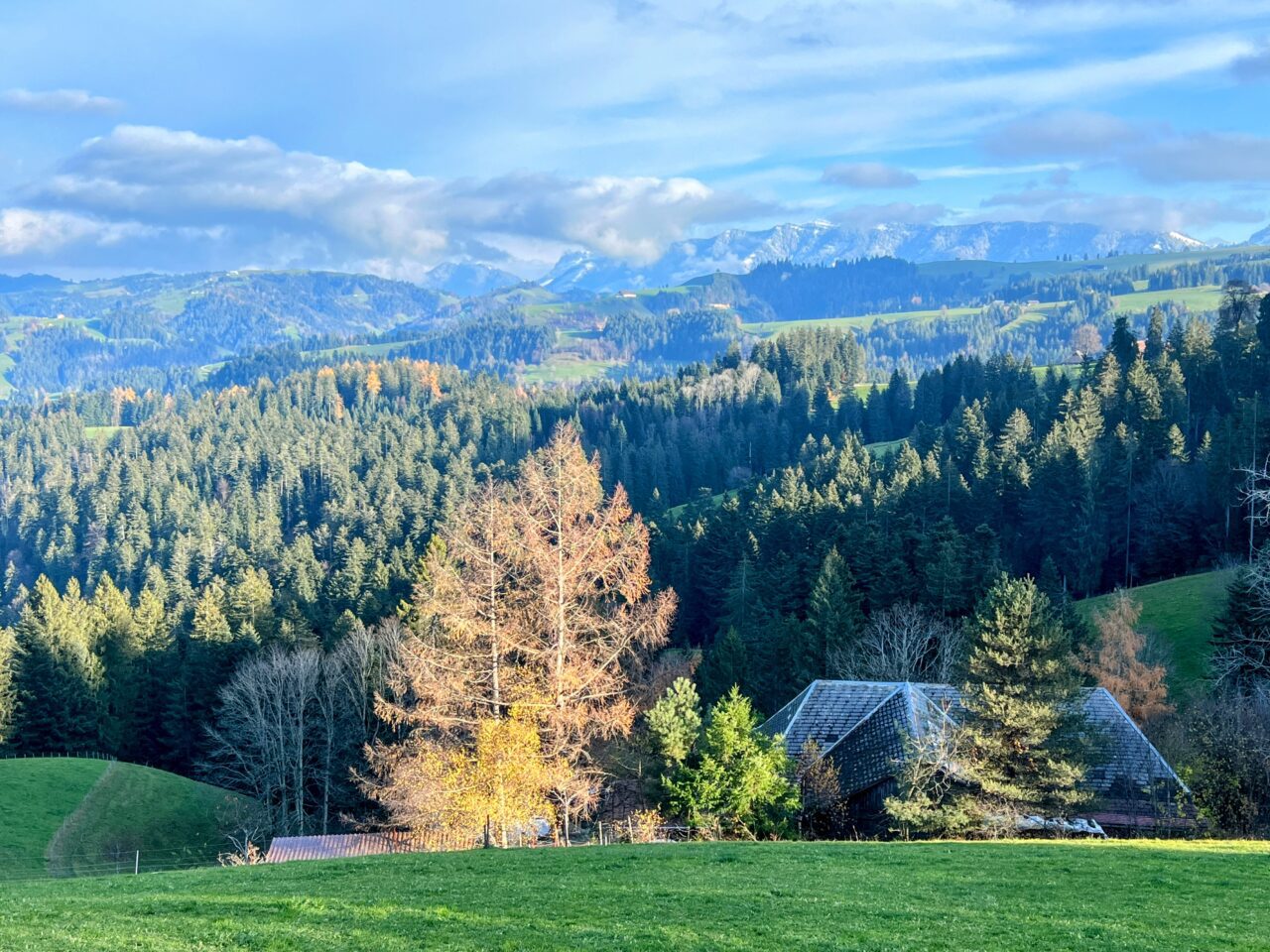 trans-swiss-trail-etappe-12-und-13-luetzelfluh-langnau-eggiswil-