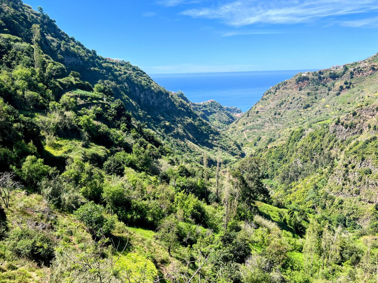 wanderung_levada_nova_levada_moinho_
