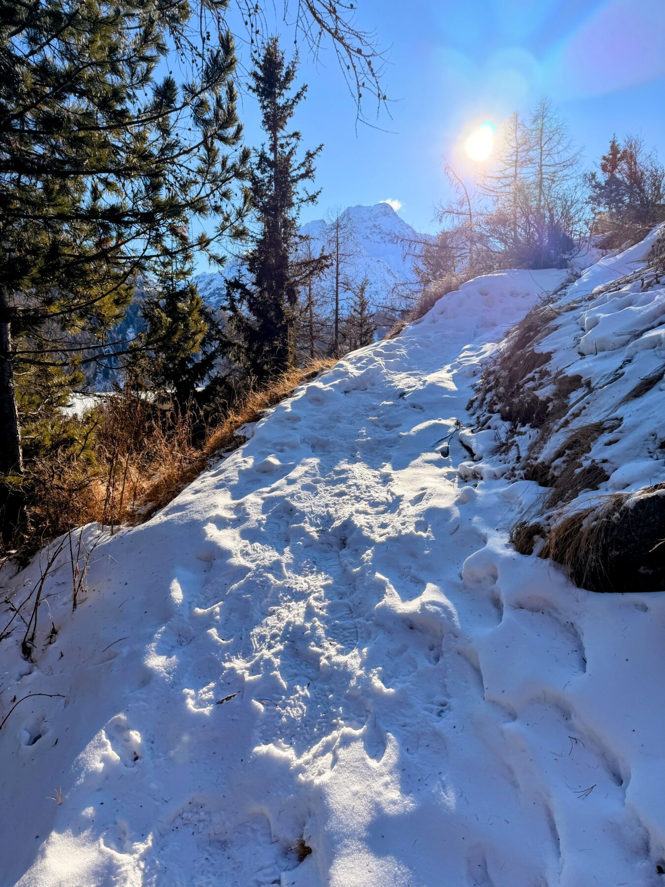 wanderung_silsersee_schwarzeis__IMG_9085
