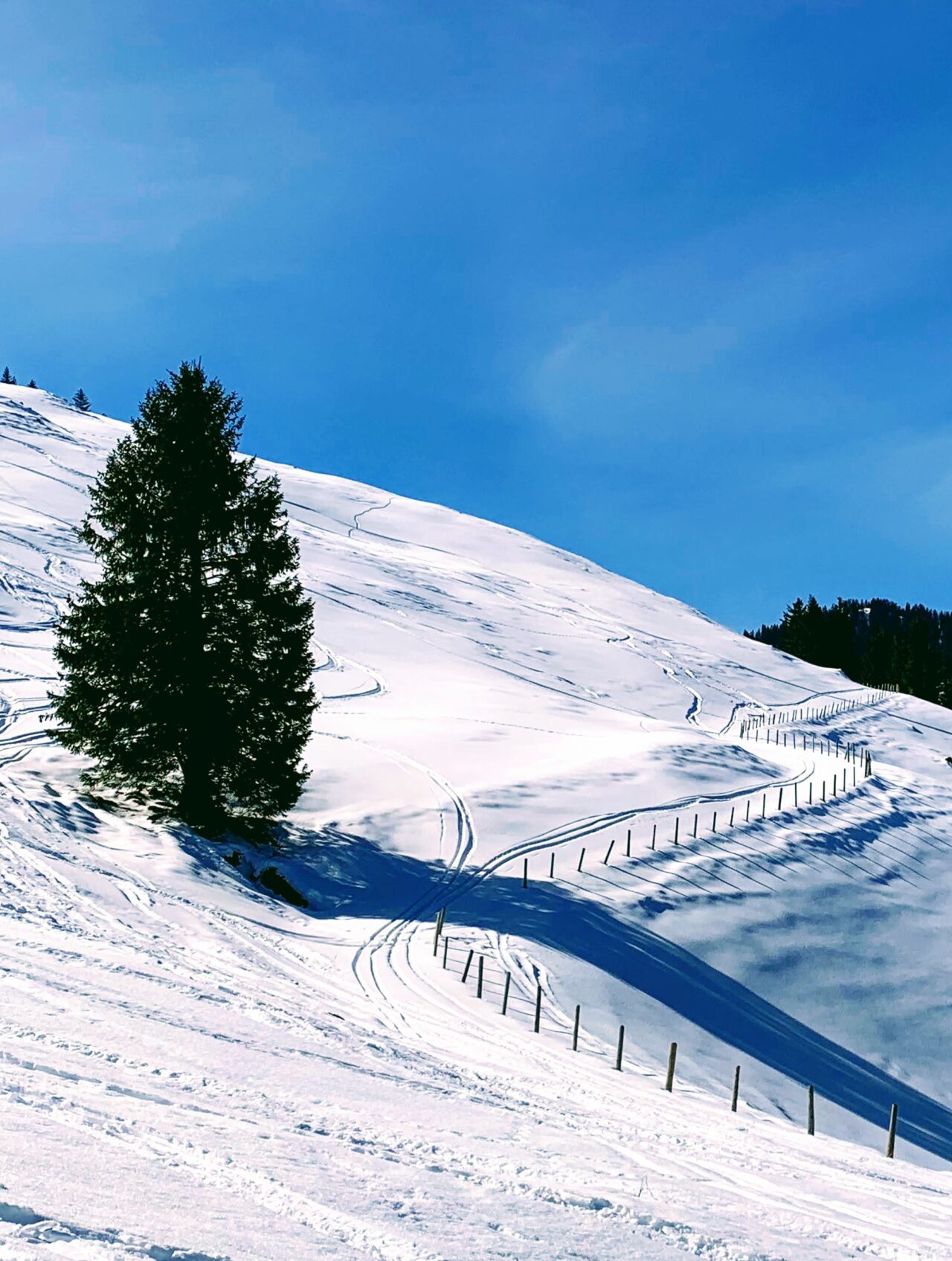 schneeschuhwanderung_spitalgipfel_