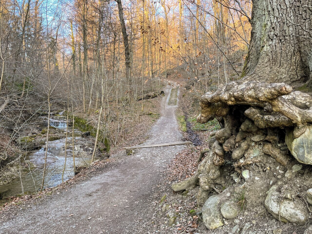 wanderung_zürich_loorenkopf_