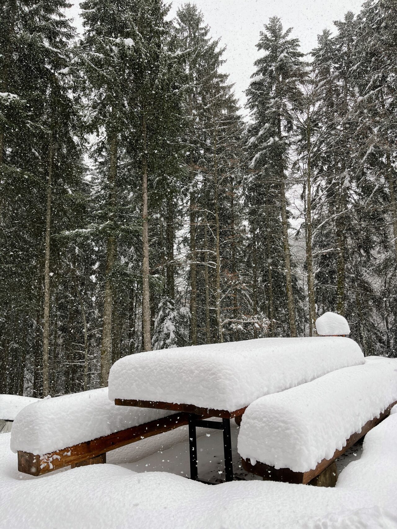 schneeschuhtour_sattelegg_