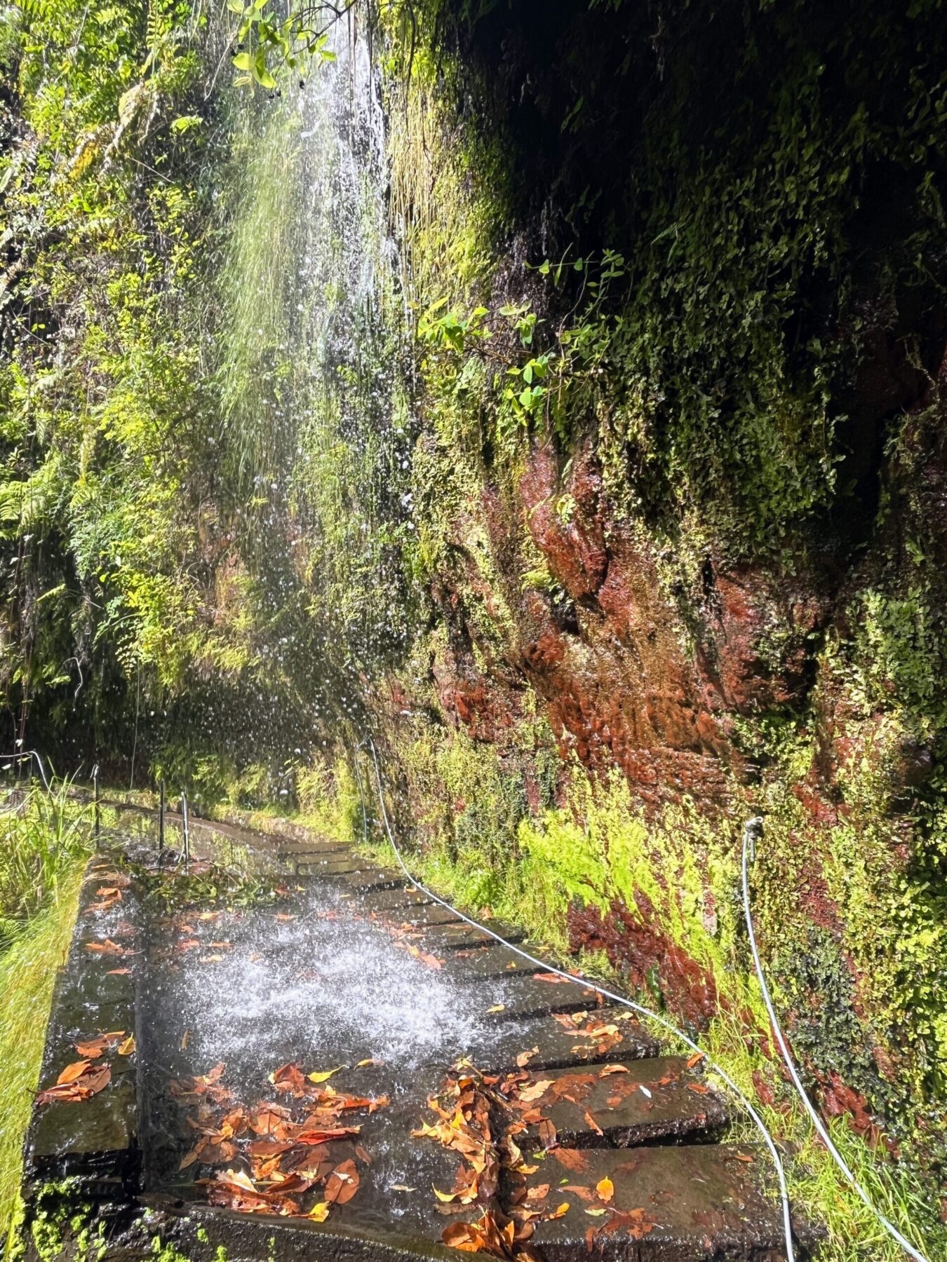 wanderung_levada_do_rei_pr18_