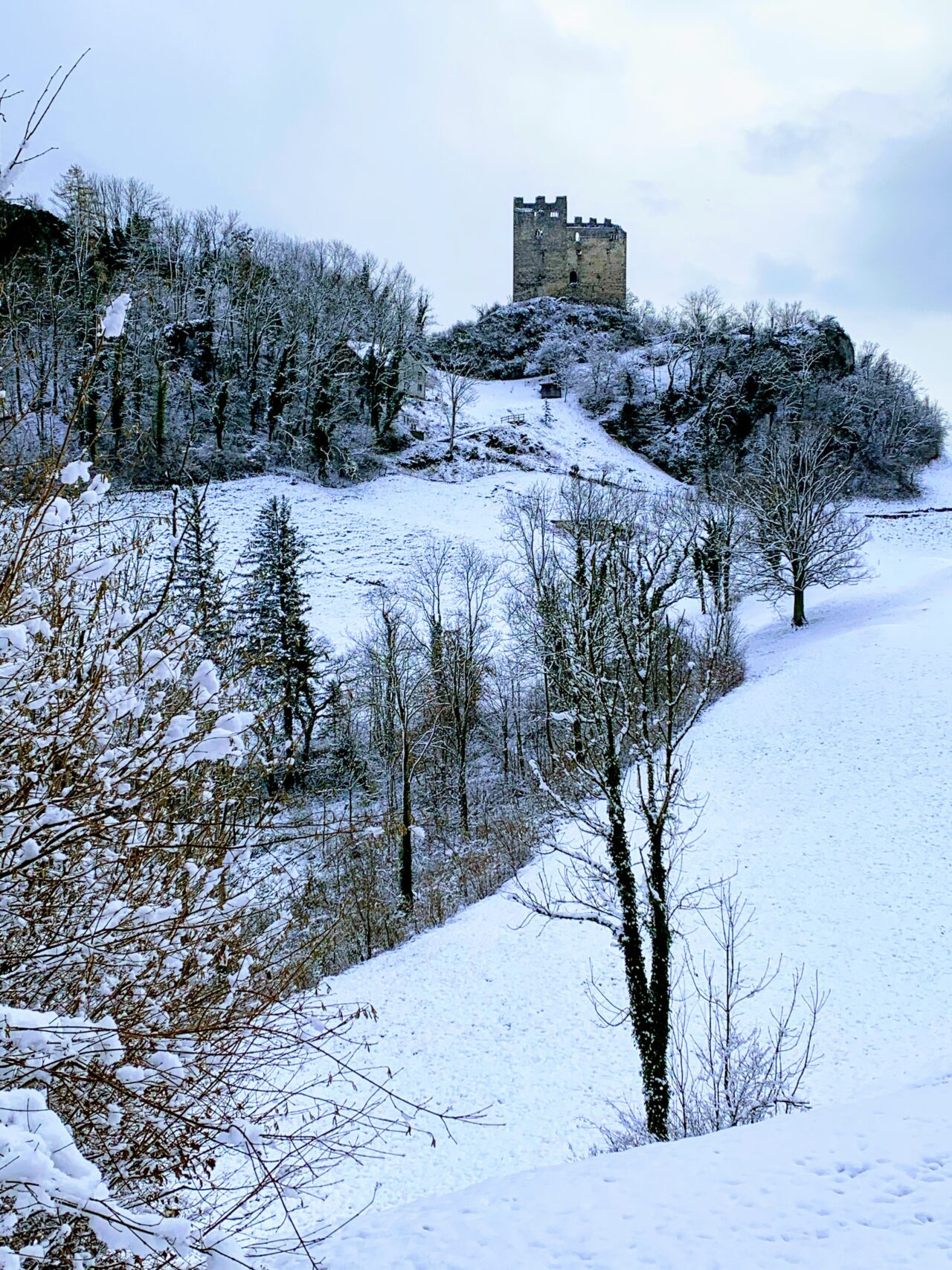via_alpina_etappe_1_gaflei_sargans_