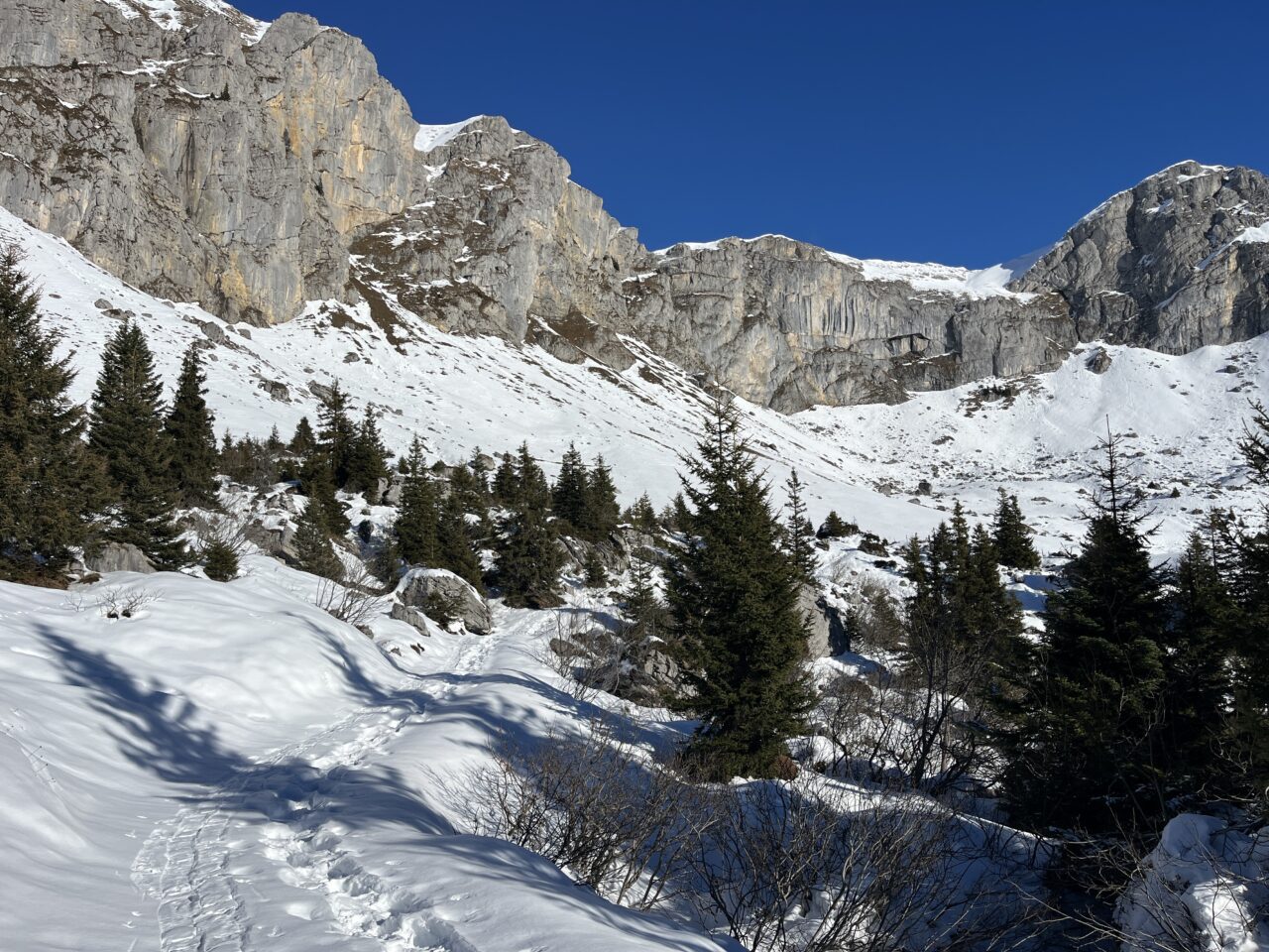 Schneeschuhe_winterwandern_eggberge_hueenderegg_ratzi__IMG_5670