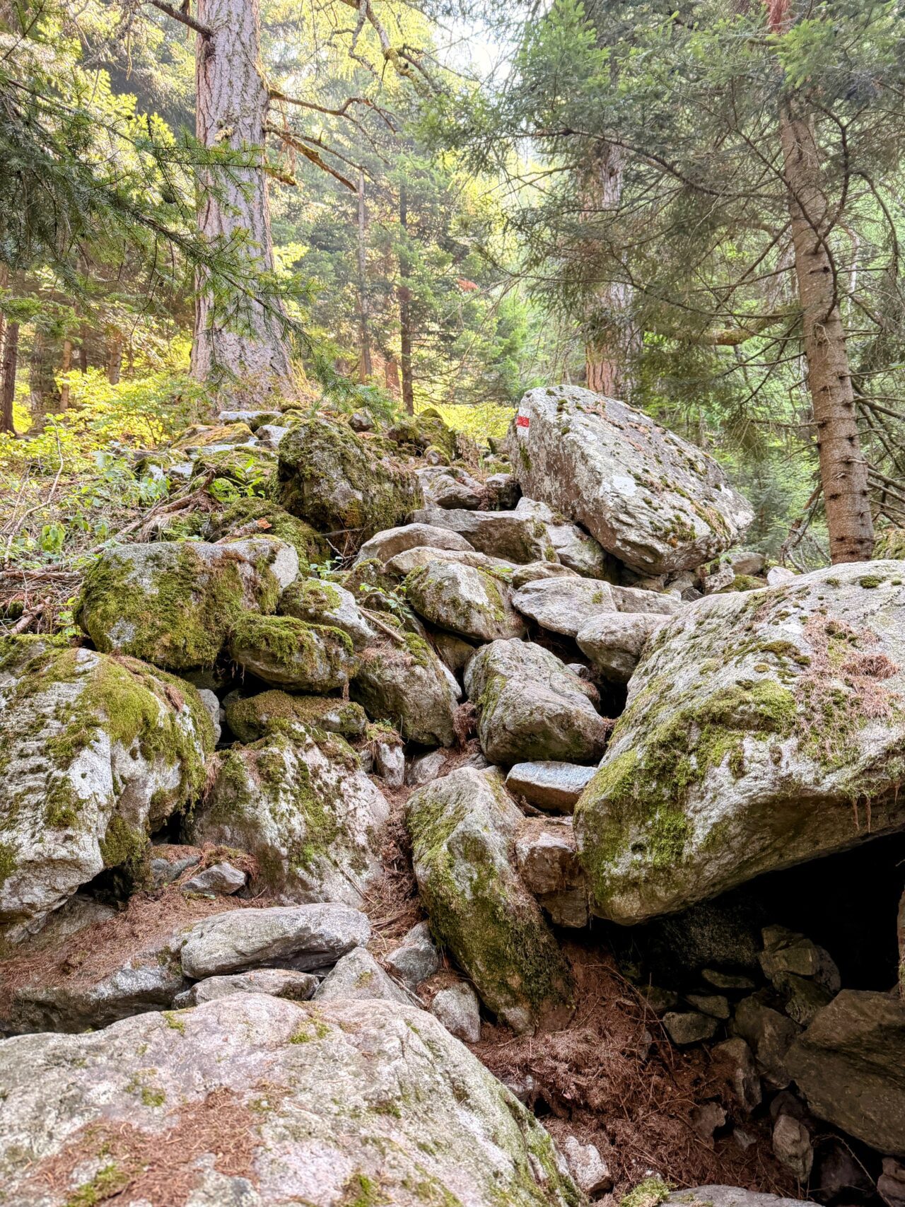 wanderung_sentiero_alpino_bregaglia_sciorahuette_sasc_furae_huette__IMG_0503