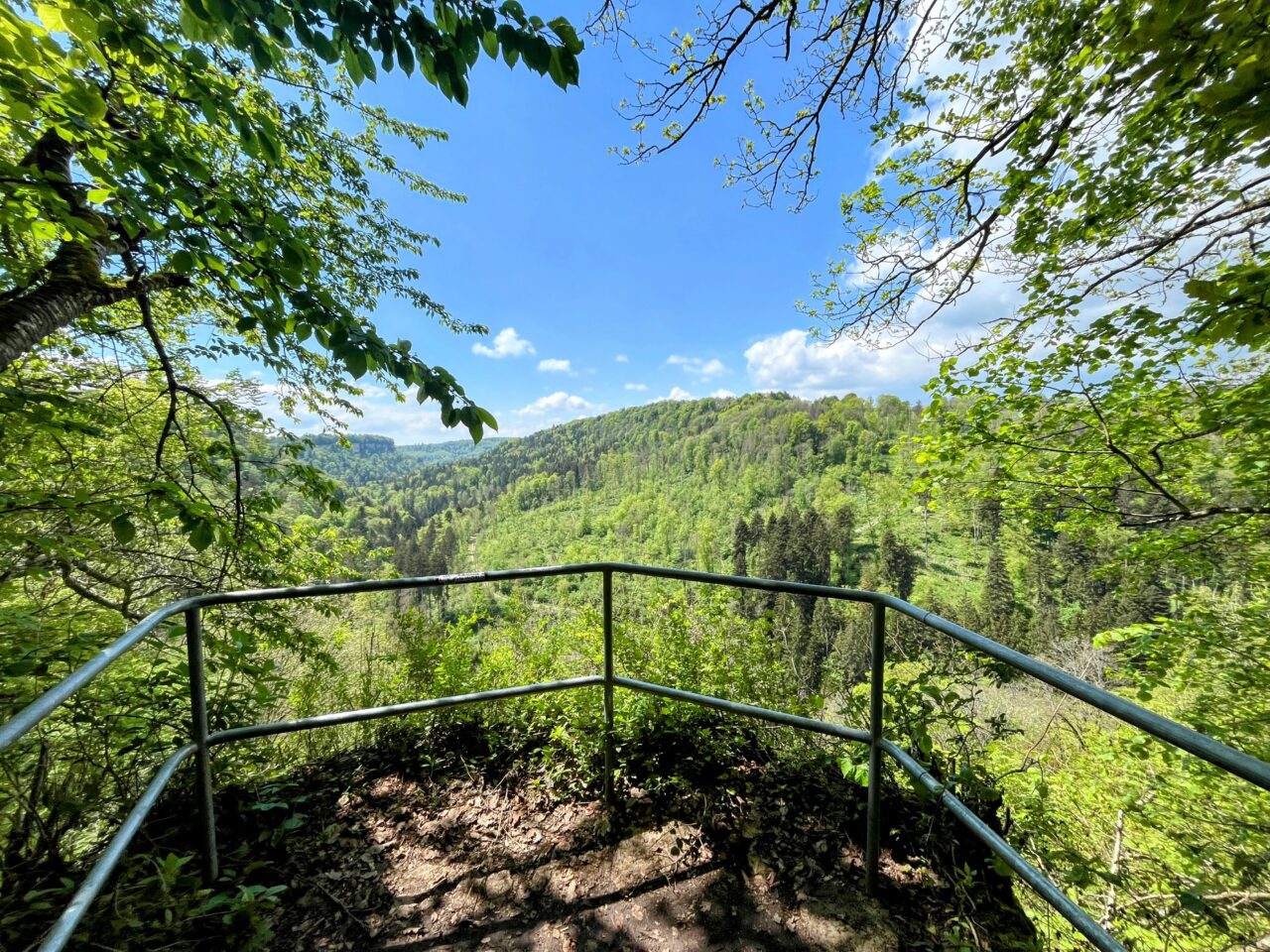 wanderung_schluchtensteig_schwarzwald_