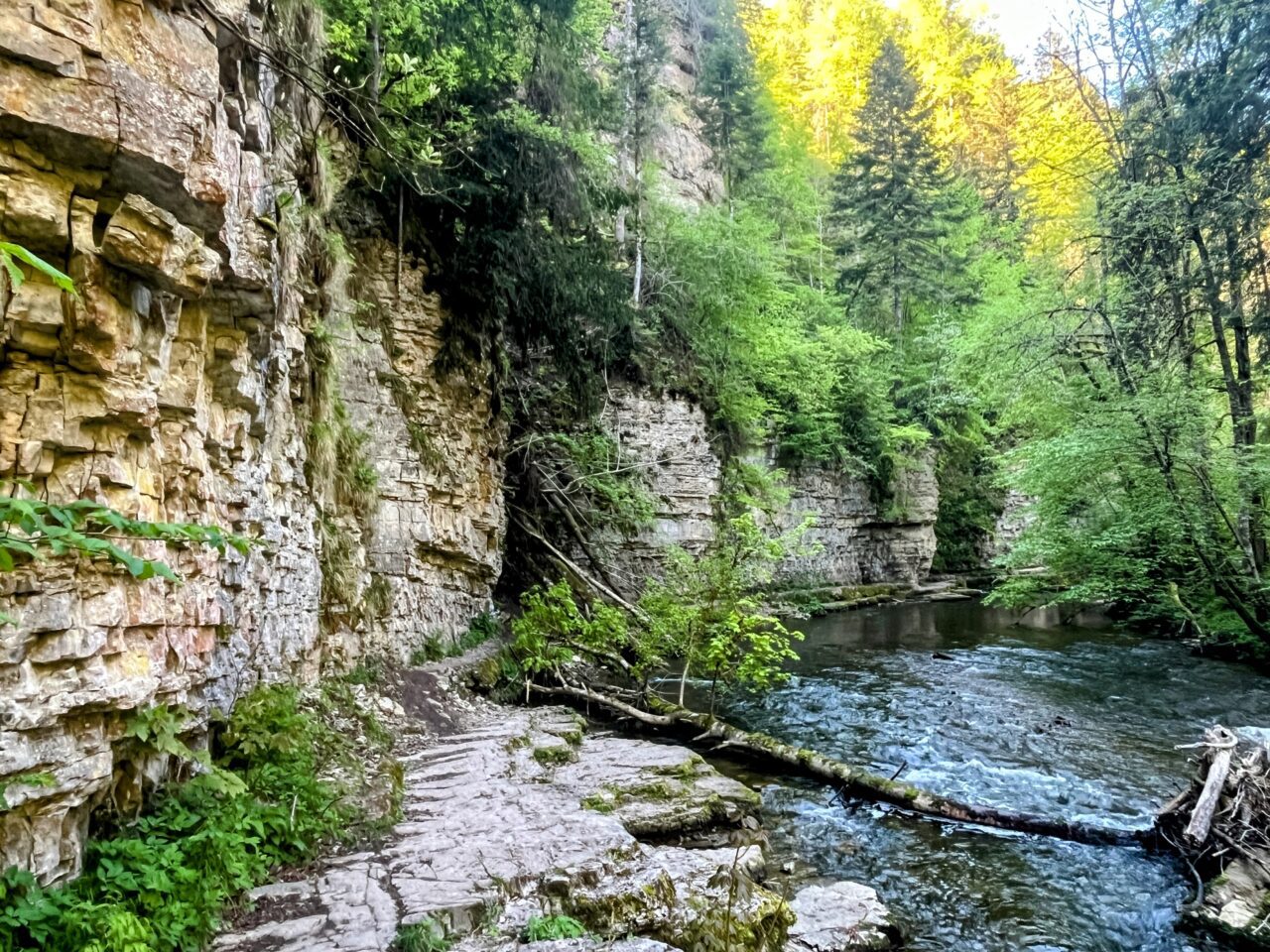 wanderung_schluchtensteig_schwarzwald_