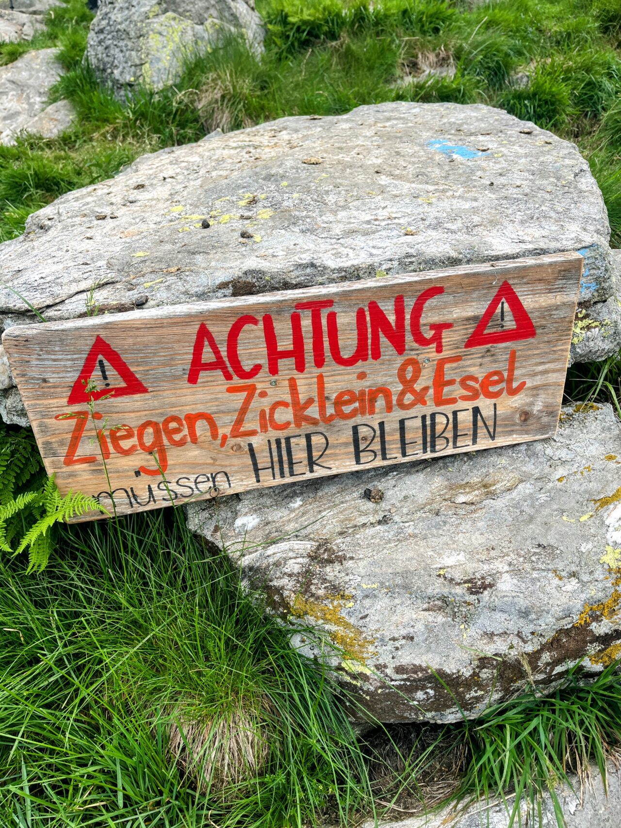 Wanderung_Alta_Via_Vallemaggia_Cimetta_Nimi_Brione_