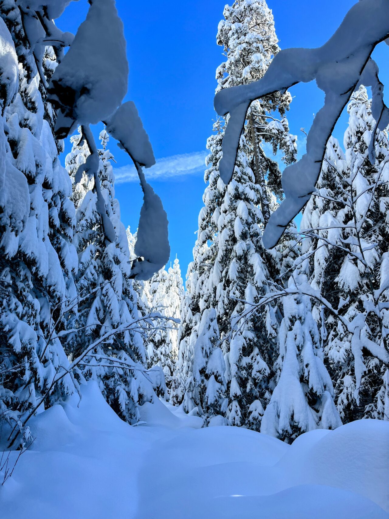 schneeschuhwanderung_rothenthurm_ahoren_biberbrugg__IMG_2355