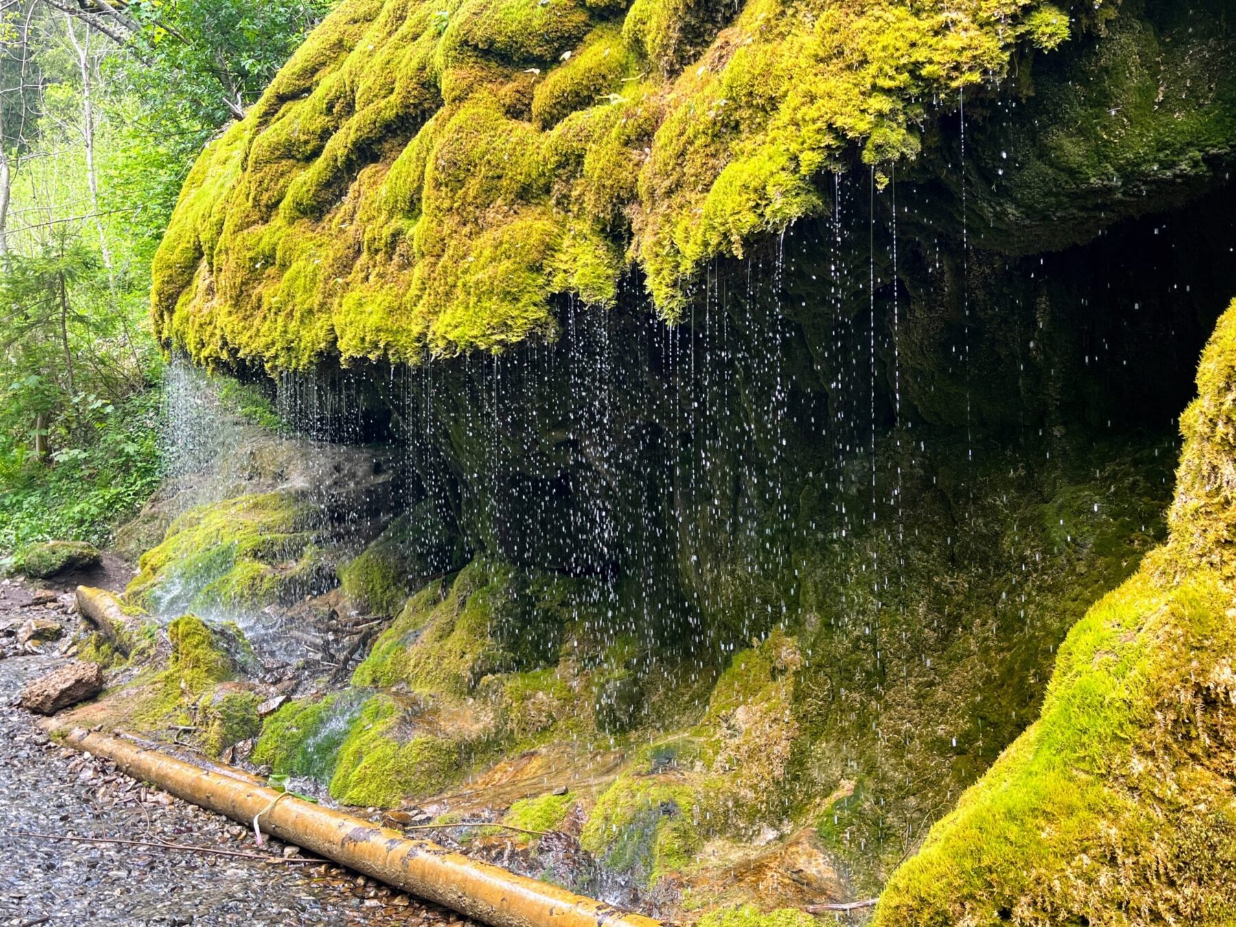 wanderung_schluchtensteig_schwarzwald_