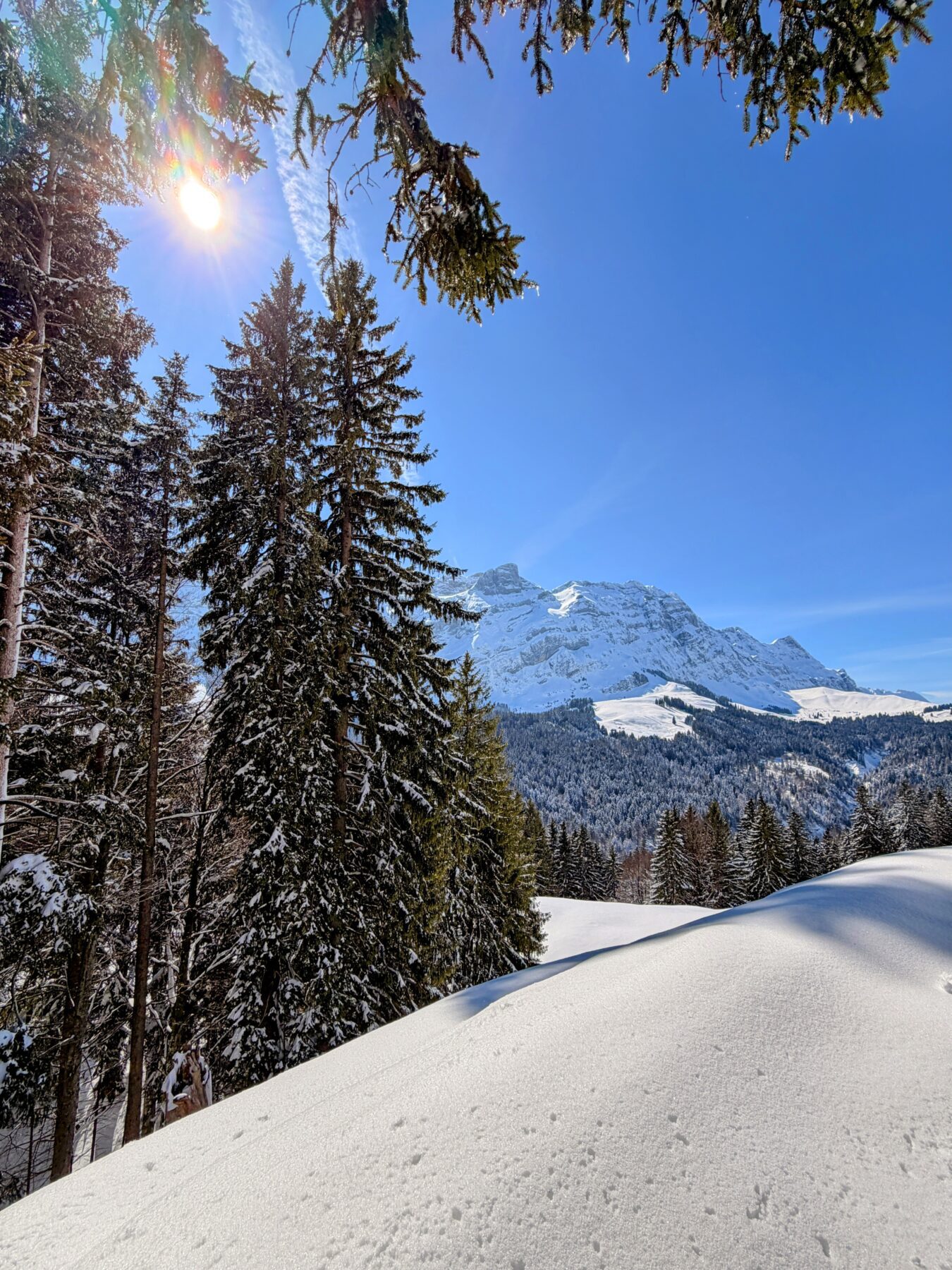 schneeschuhtour_lehmen_kronberg_chammhaldenhuette_schwaegalp__IMG_1334