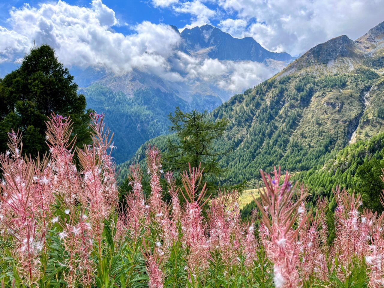 wanderung_sentiero_bernina_sud_