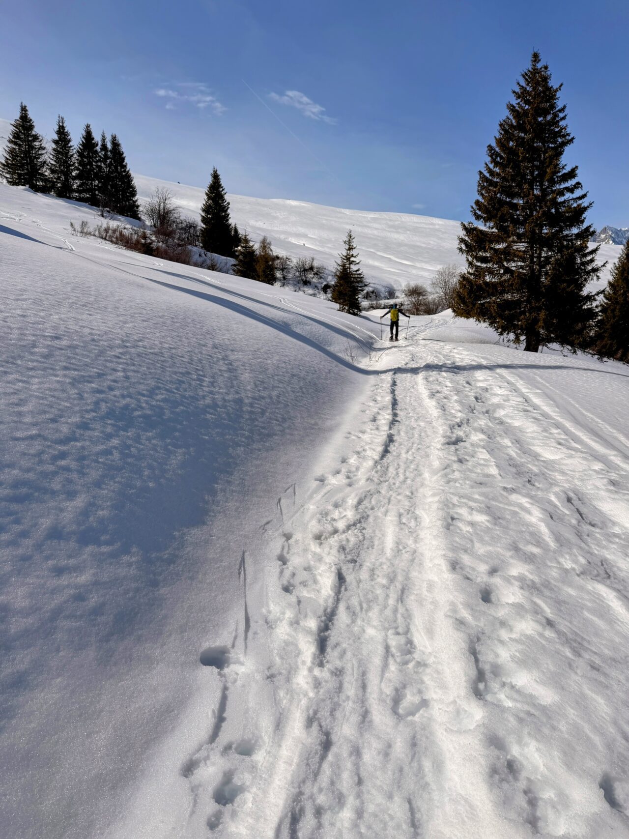 schneeschuhsafari-graubuenden-sedrun-disentis-_IMG_0292