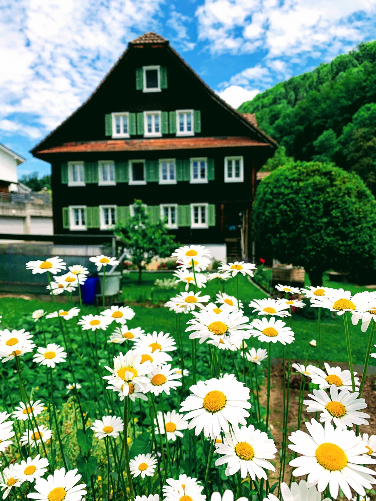 wanderung_waldstaetterweg_vitznau_kuesnacht_am_rigi_